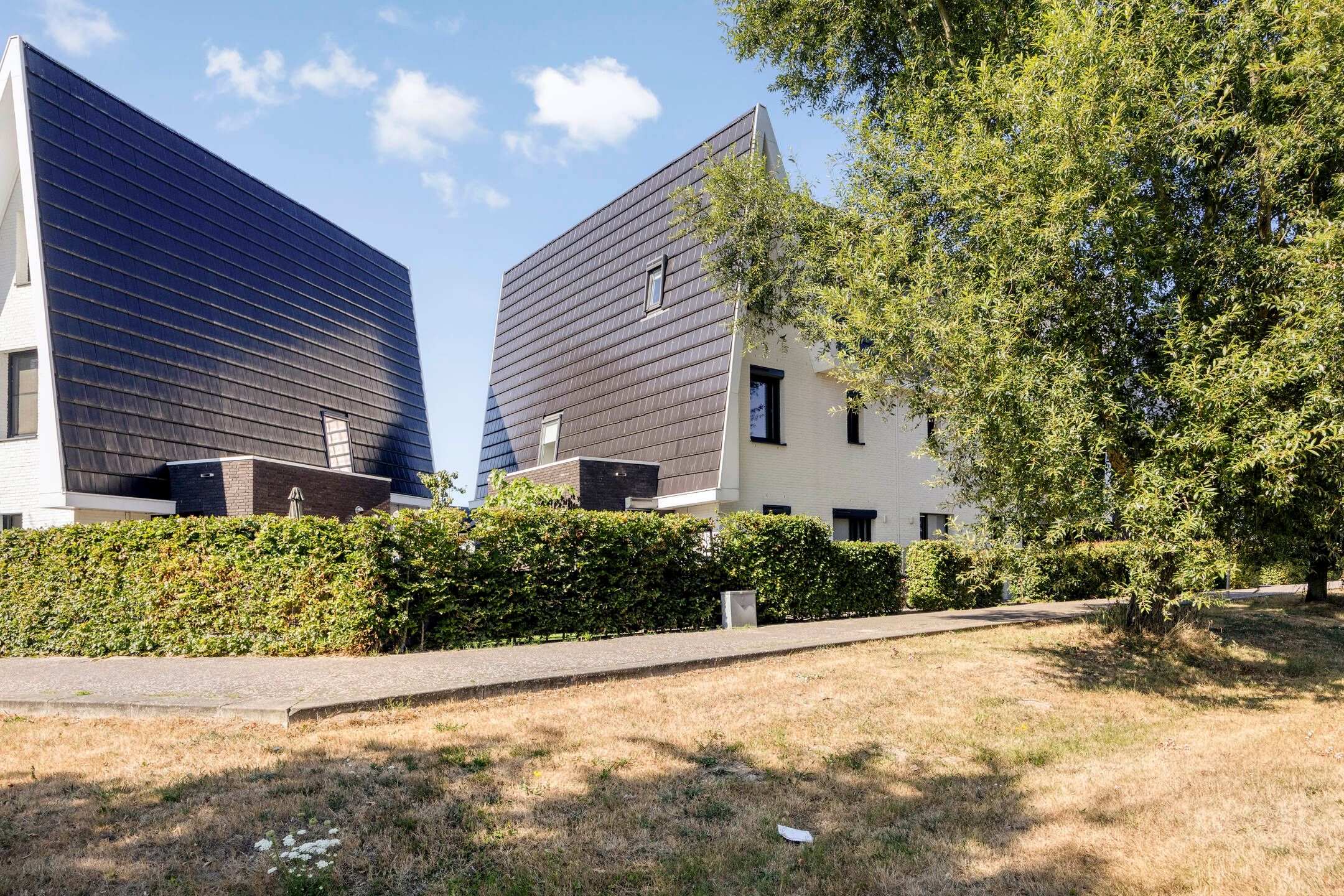 Foto van Boomblauwtje 48, Apeldoorn