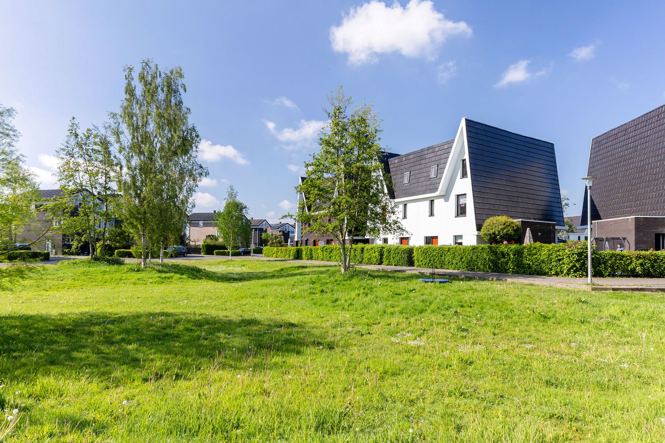 Foto van Boomblauwtje 62, Apeldoorn