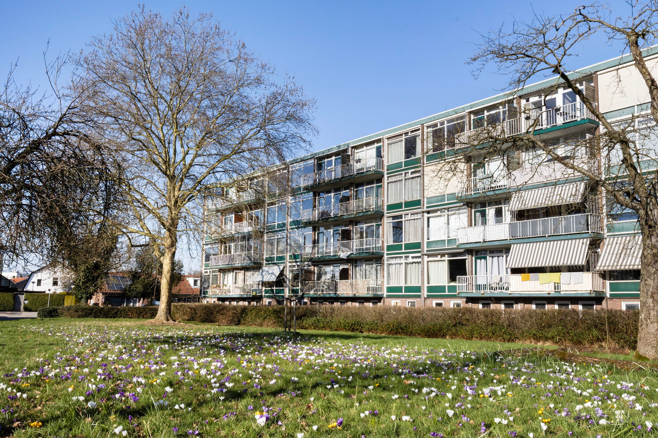 Foto van Van Houtenstraat 54, Apeldoorn