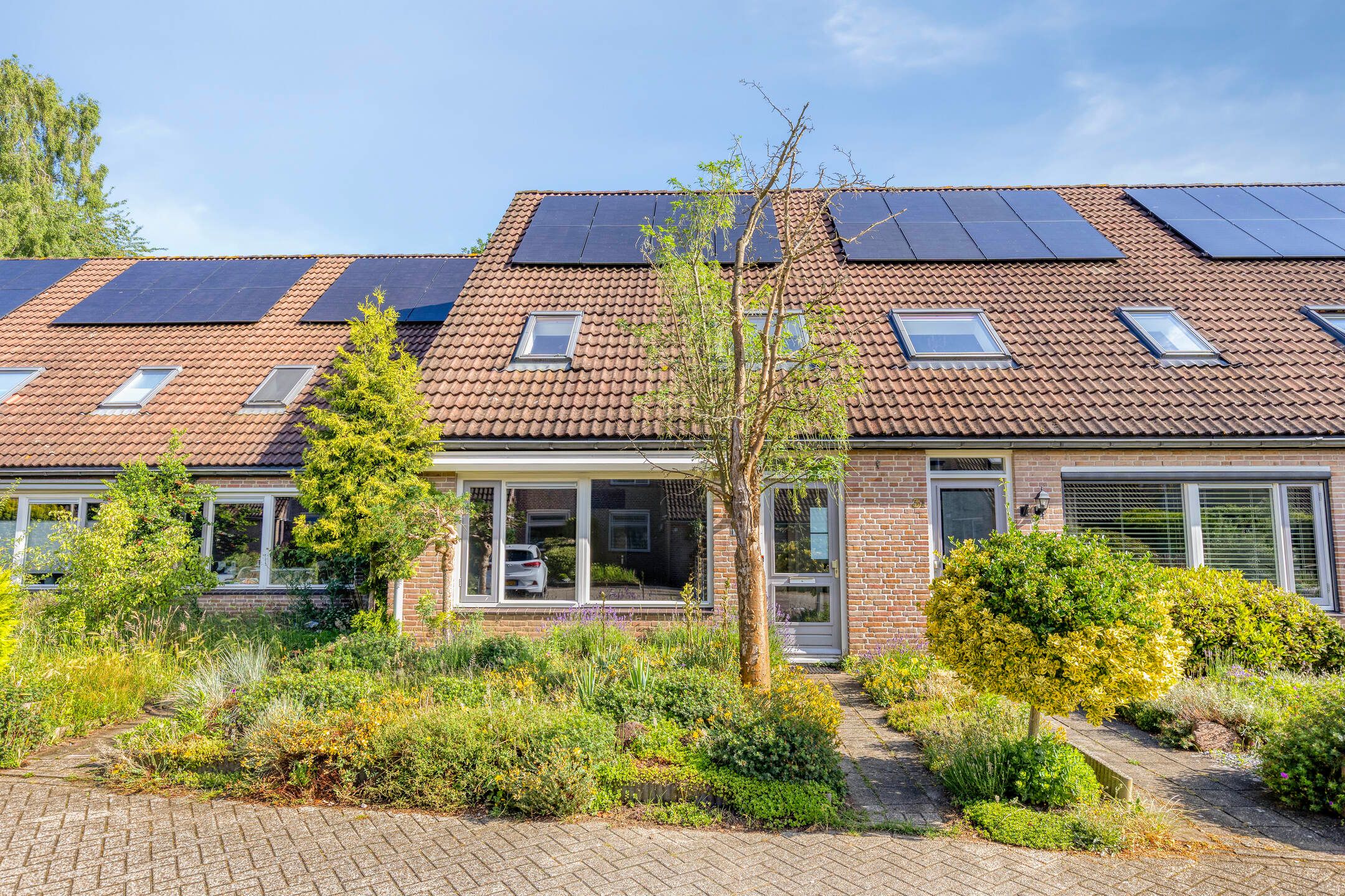 Foto van Bonte salie 29, Deventer