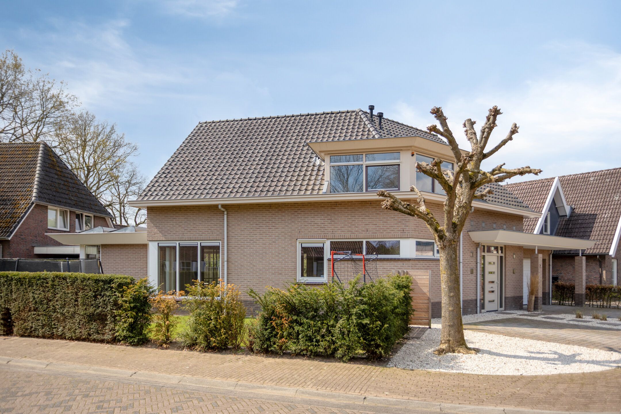 Foto van Sleutelbloem 7, Haaksbergen