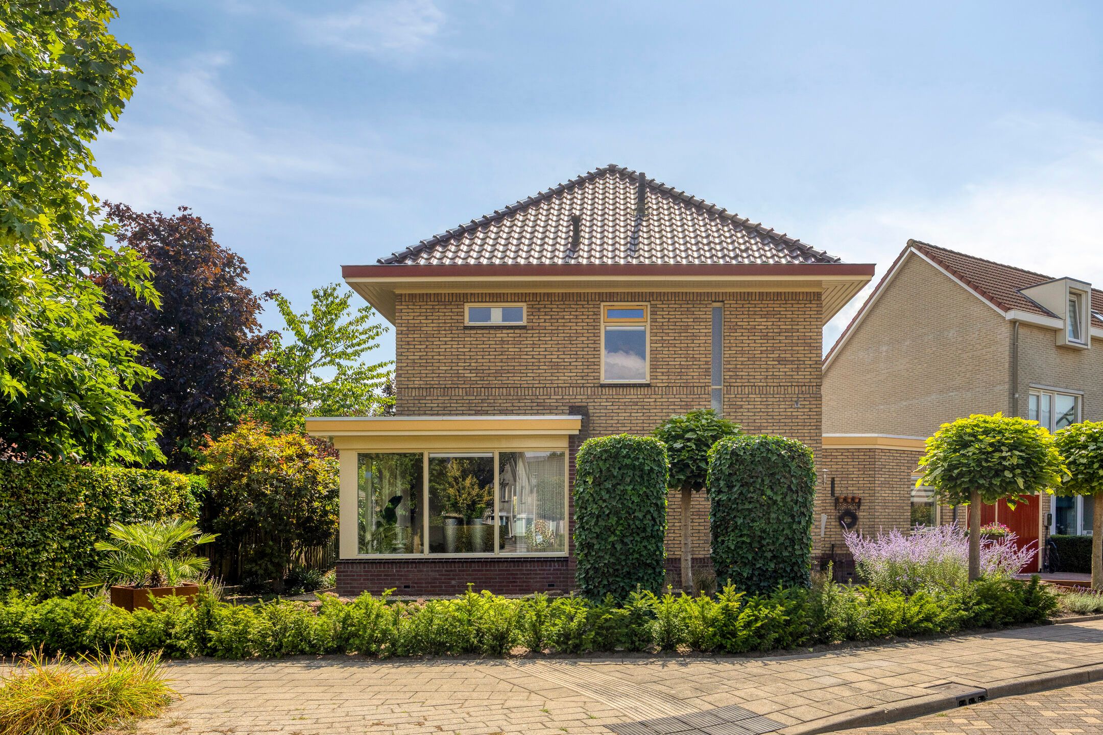 Foto van Orchidee 34, Haaksbergen