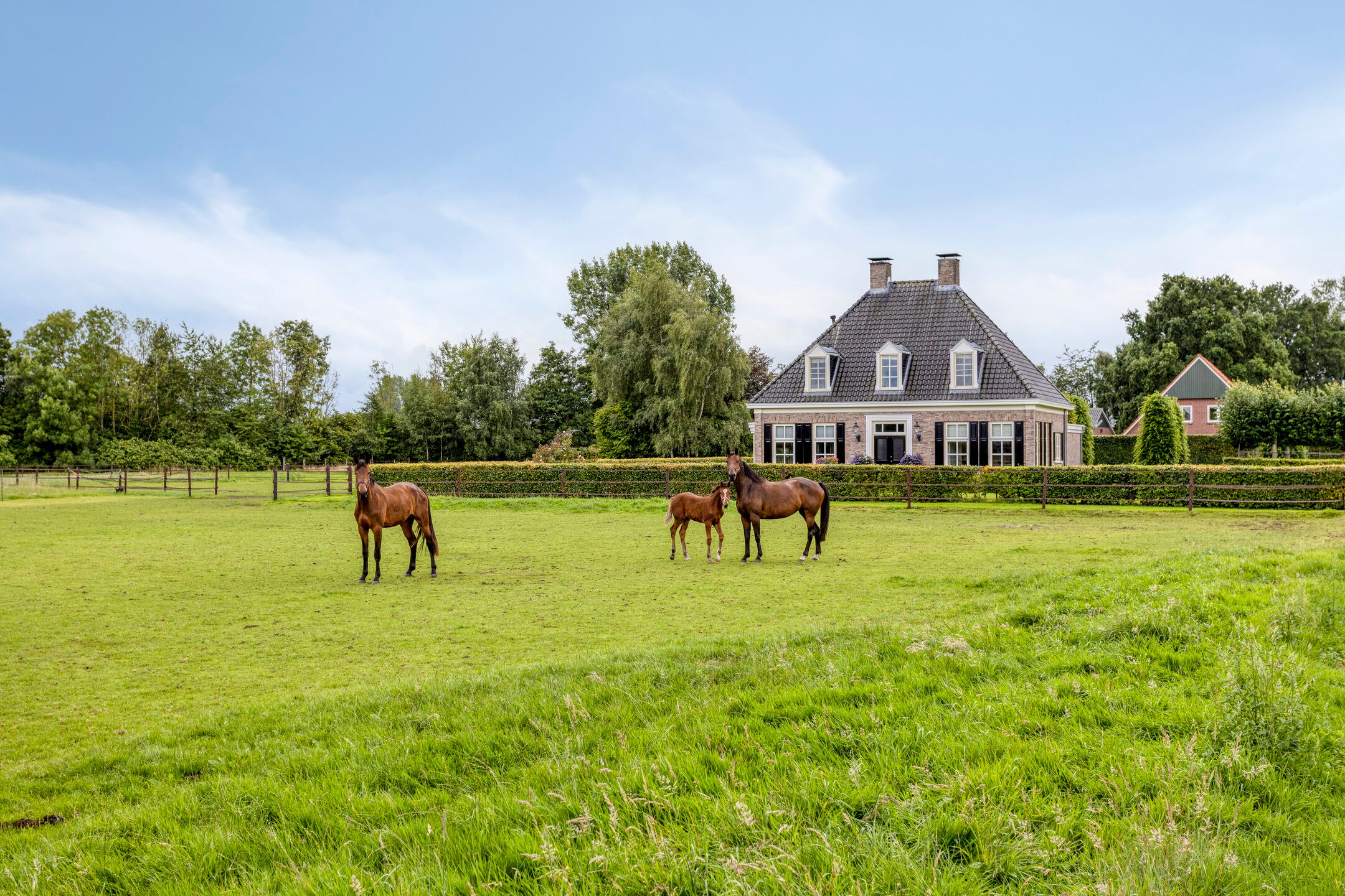 Foto van Bollenweg 5, Ambt Delden