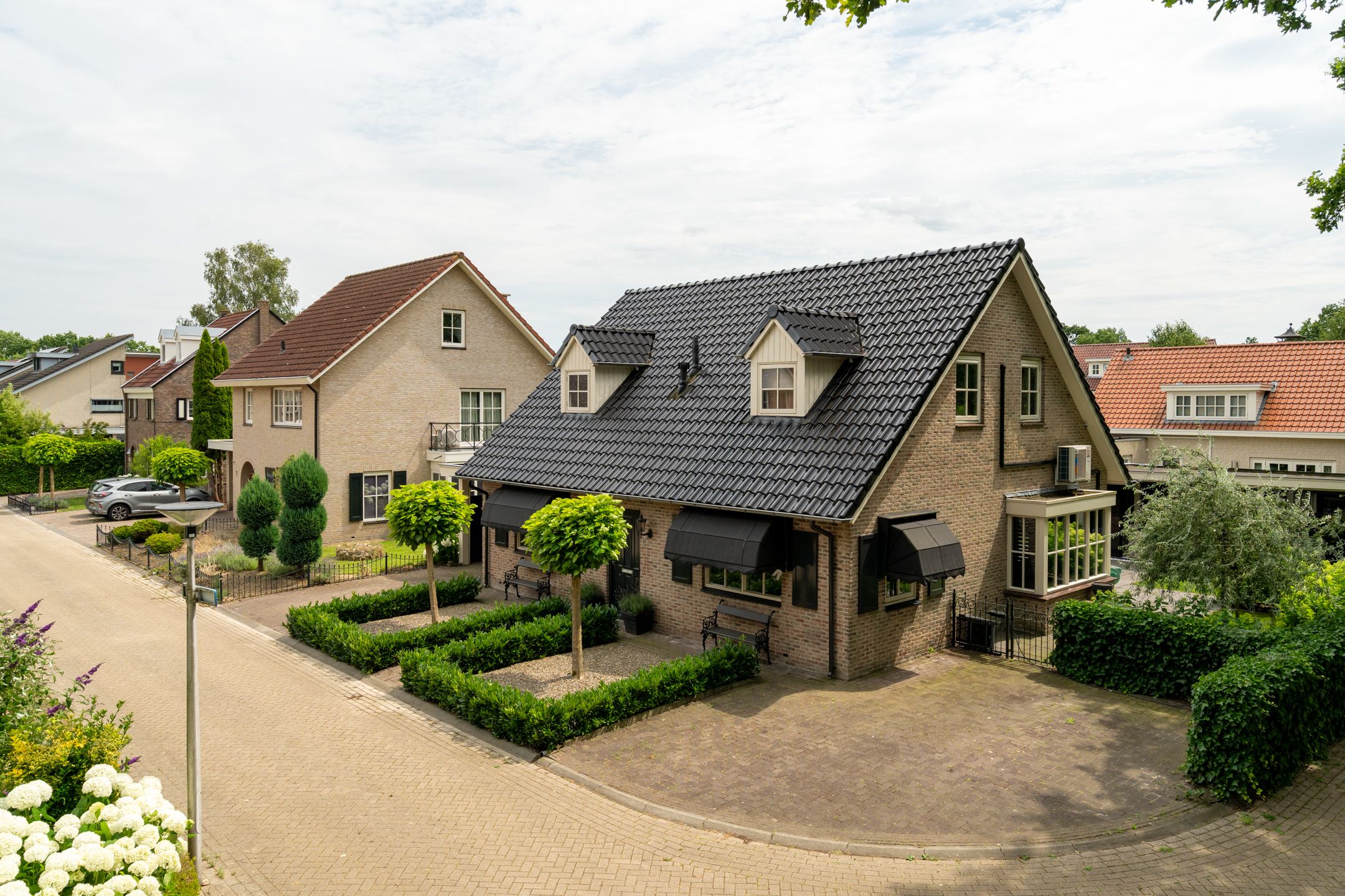 Foto van Distelvlinder 2, Enschede