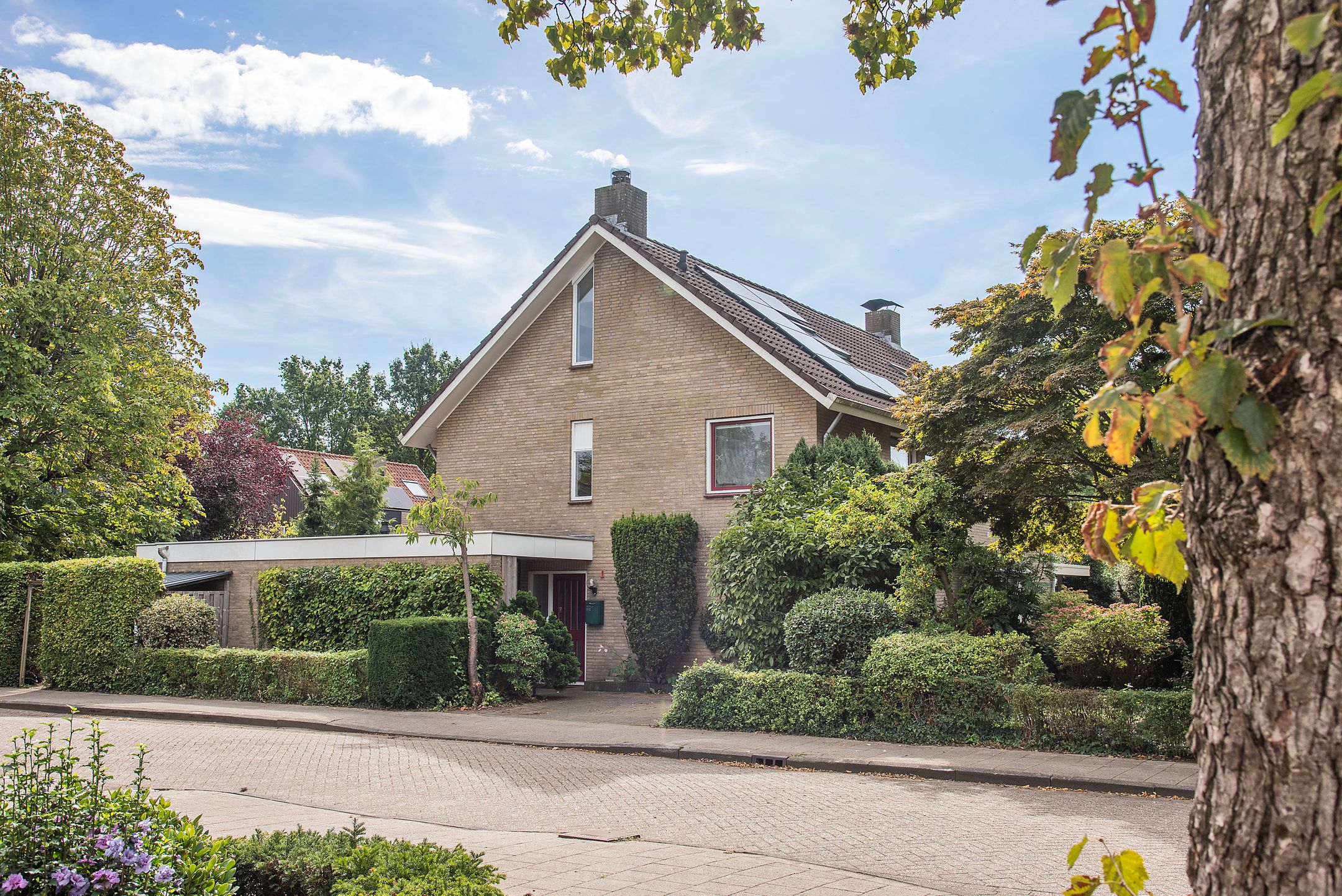 Foto van Mispel 1, Borne