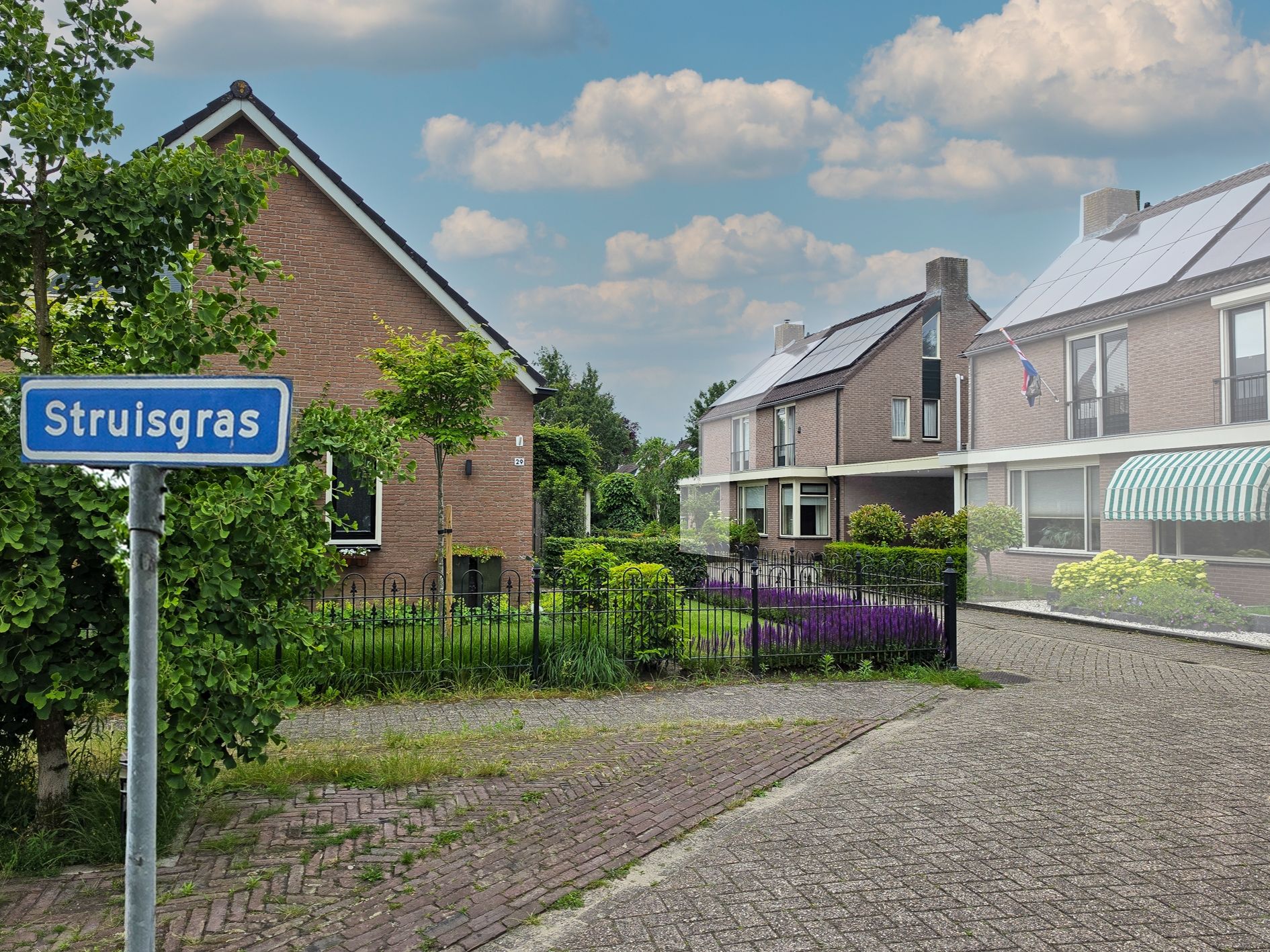 Foto van Struisgras 33, Borne
