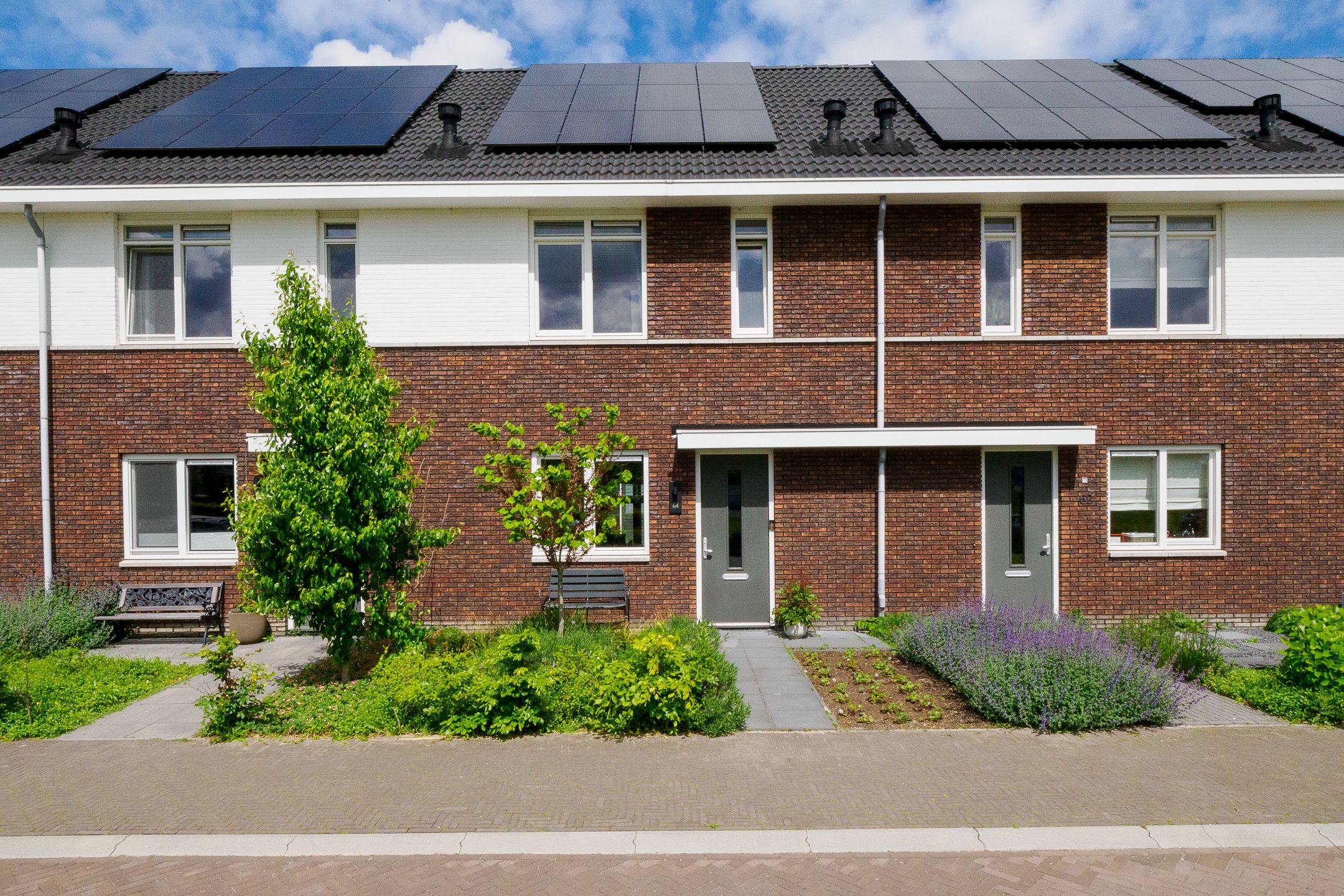 Foto van Honingbes 64, Borne