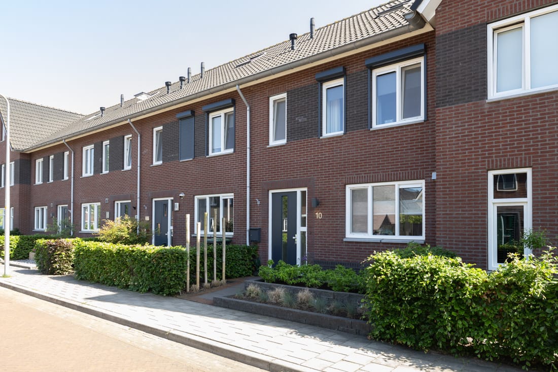 Foto van Vingerhoedskruid 10, Vroomshoop