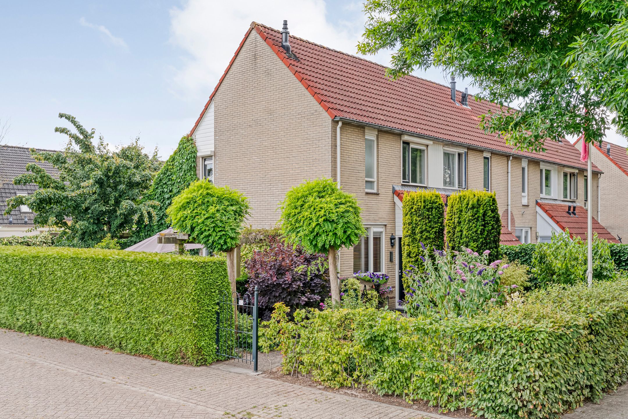 Foto van Hoornblad 53, Hardenberg