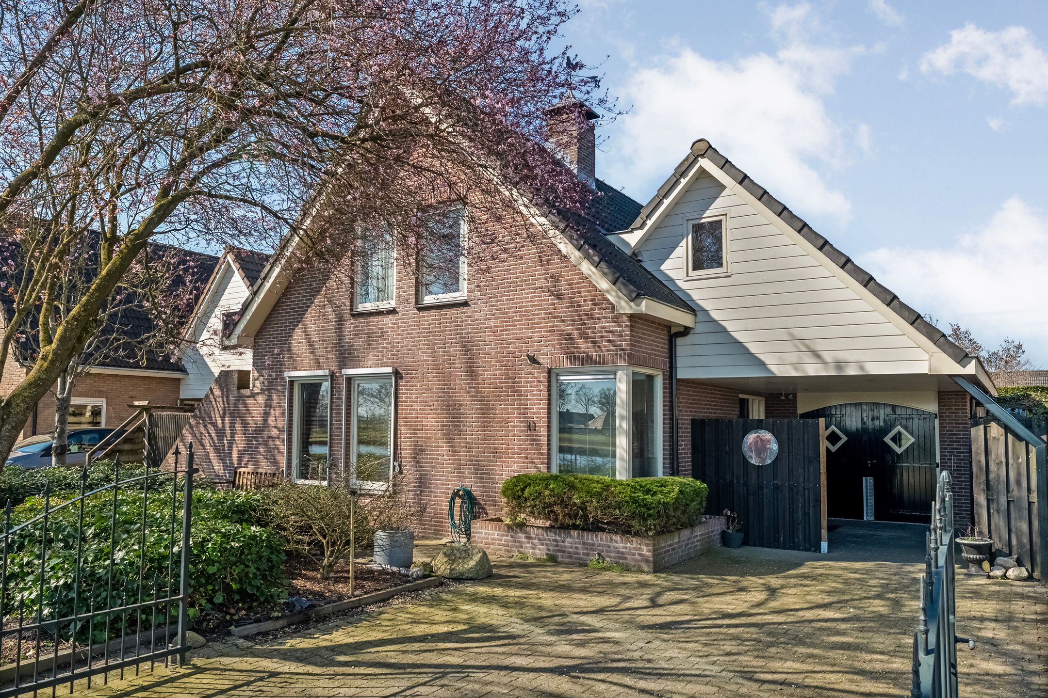 Foto van Waterlelie 11, Hardenberg