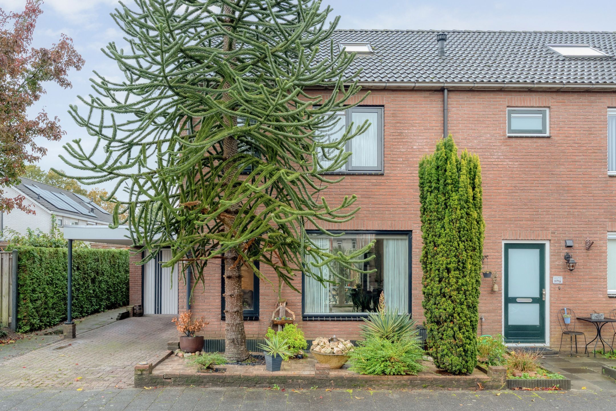 Foto van Grasklokje 1, Hardenberg