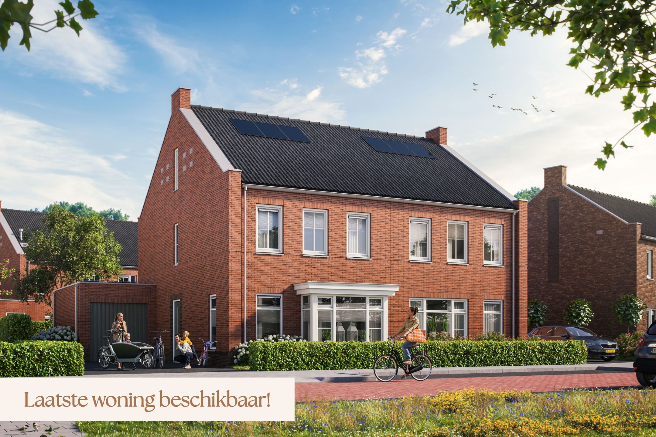 Foto van Brasem 40, Hardenberg