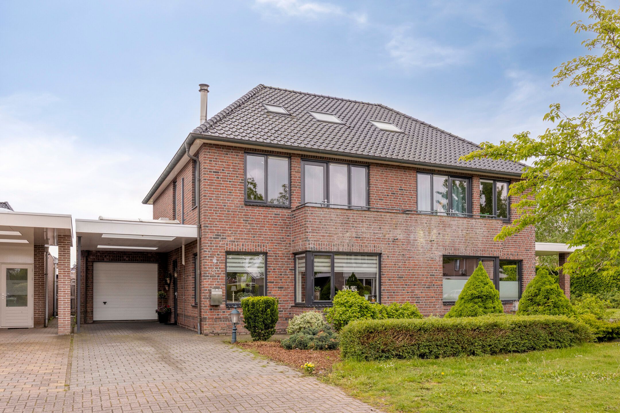 Foto van Citroenvlinder 12, Emmen