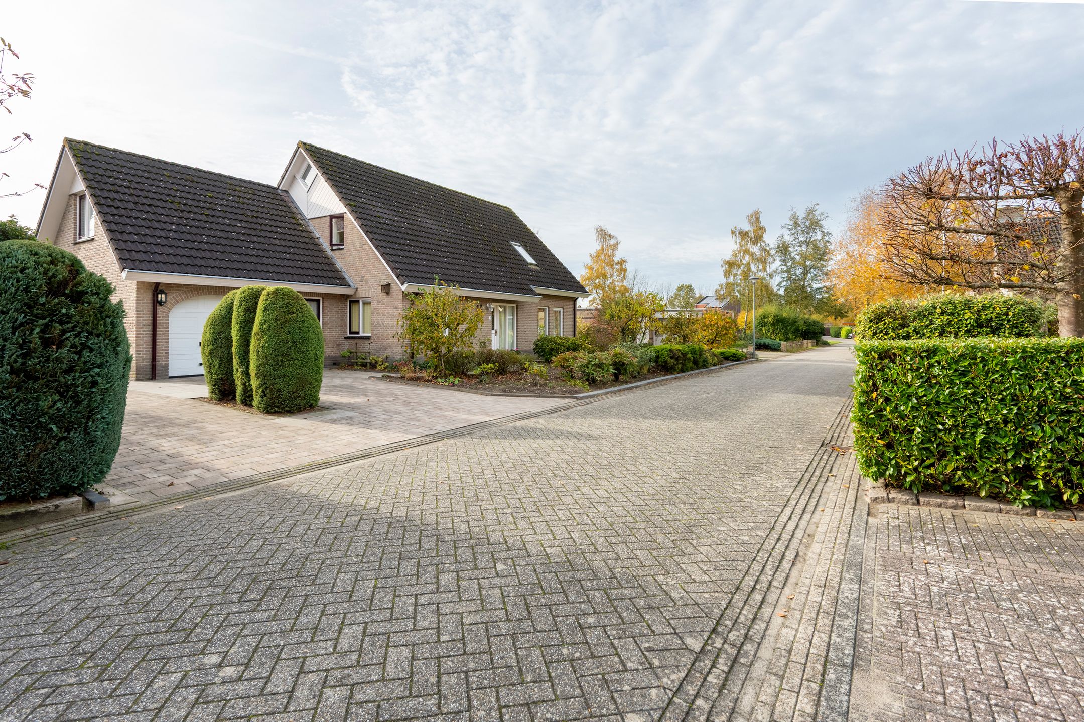 Foto van Dwerggors 2, Emmen