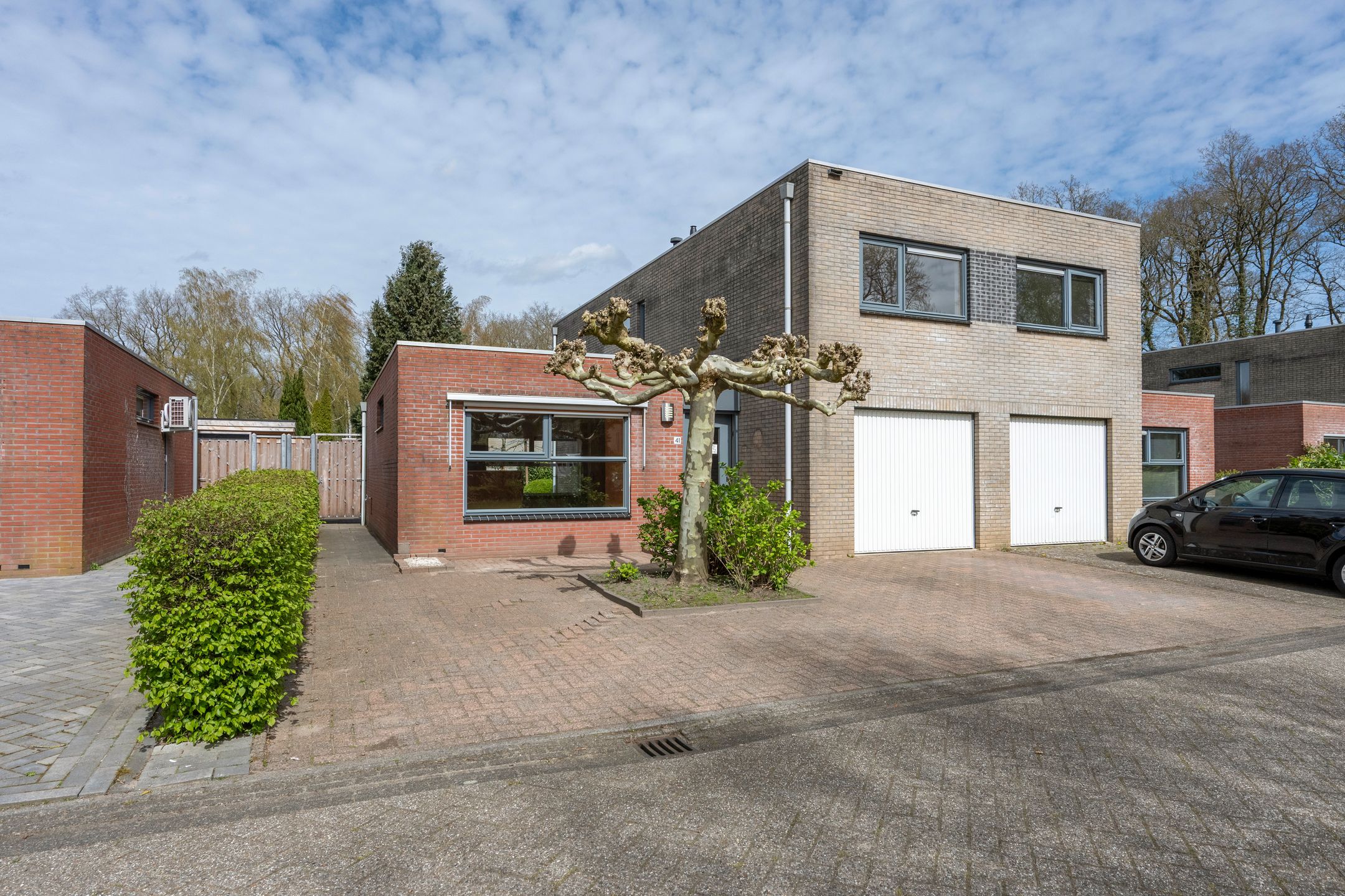 Foto van Sneeuwuil 41, Emmen