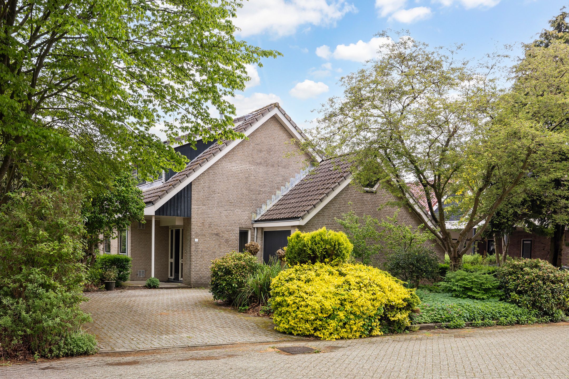 Foto van Grijze Kraai 11, Emmen