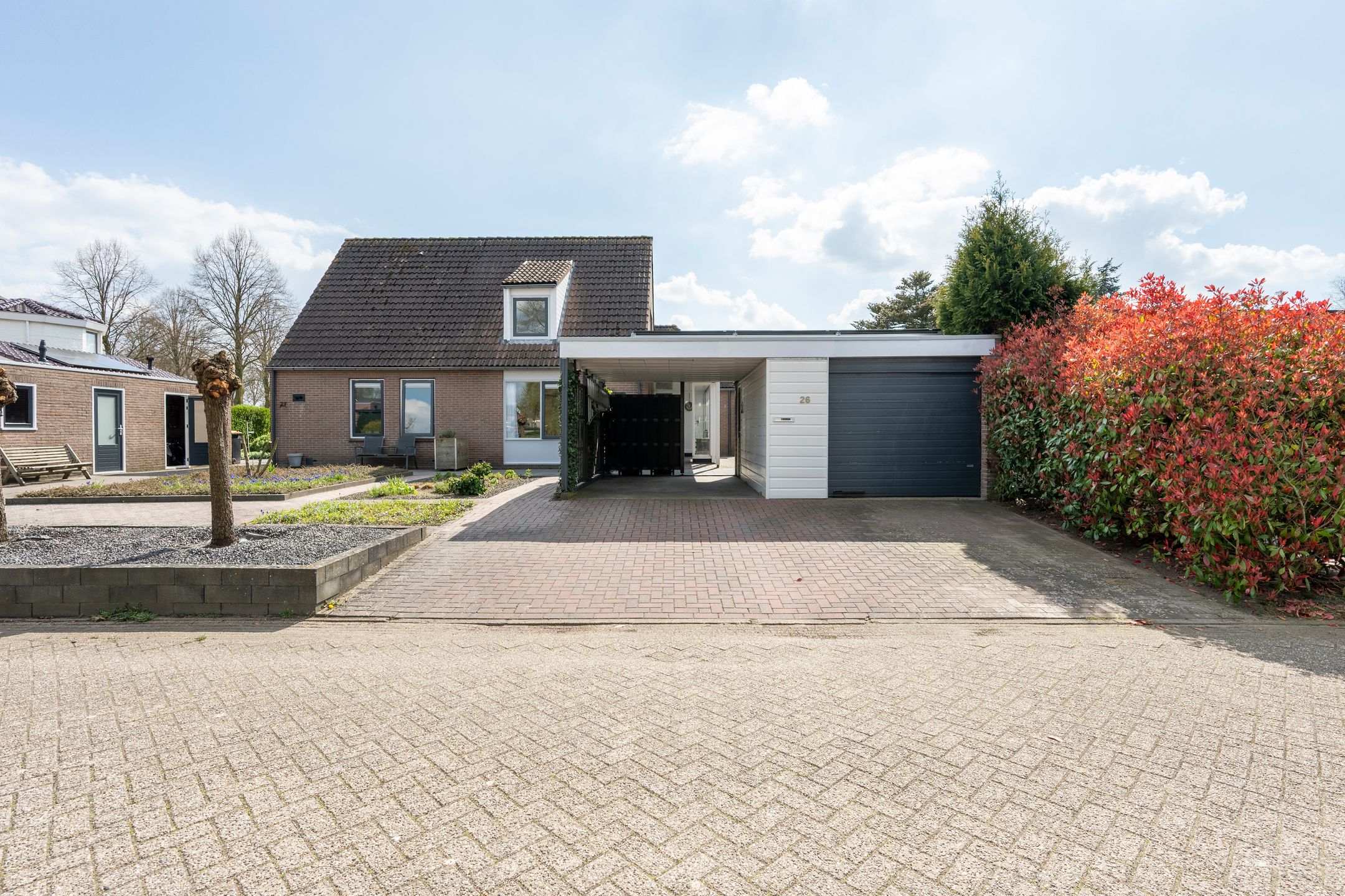 Foto van Grijze Kraai 26, Emmen