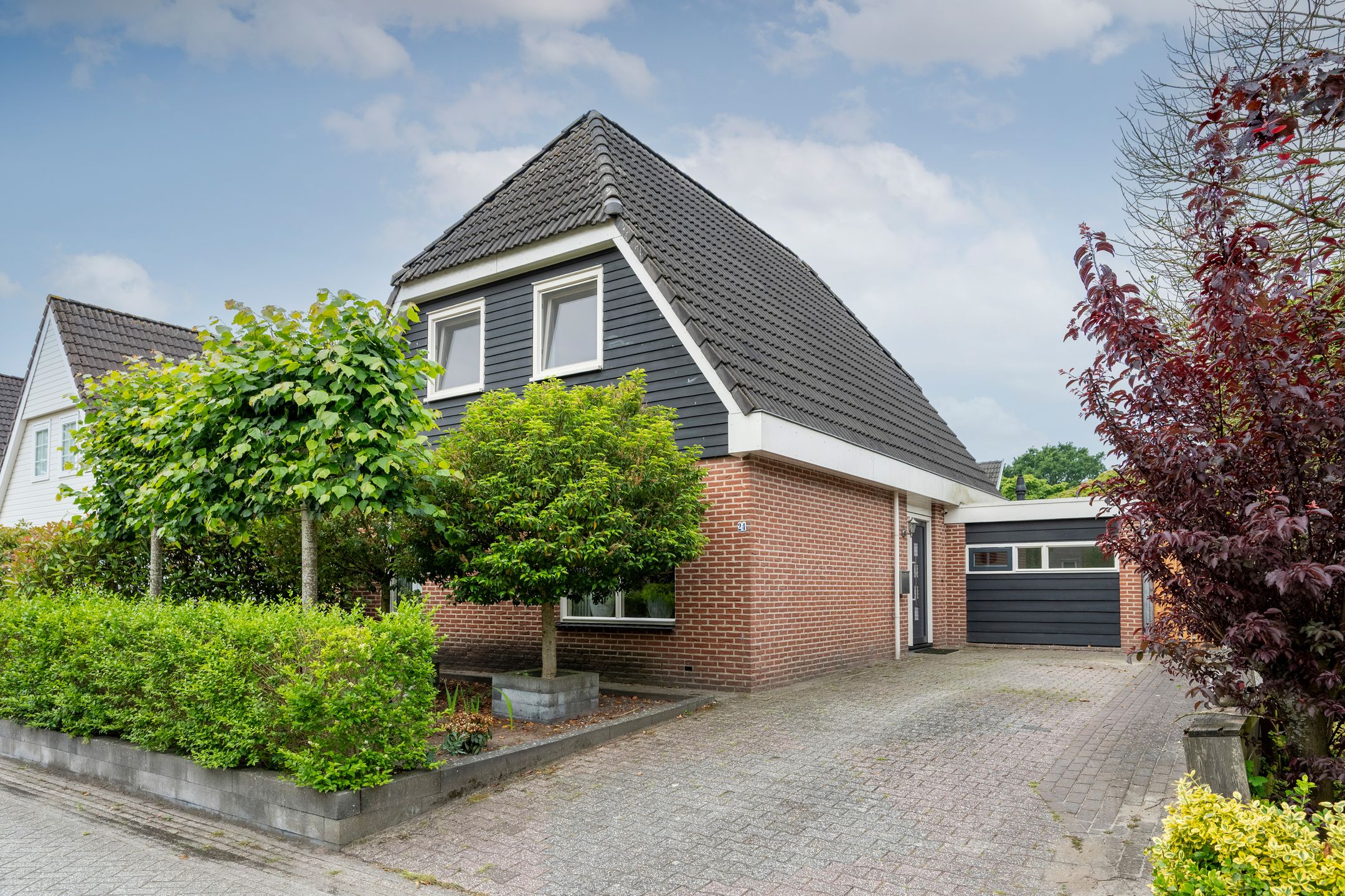 Foto van Sierduif 24, Emmen