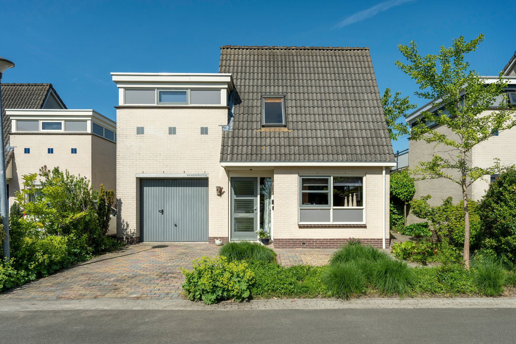 Foto van Witrugspecht 31, Emmen