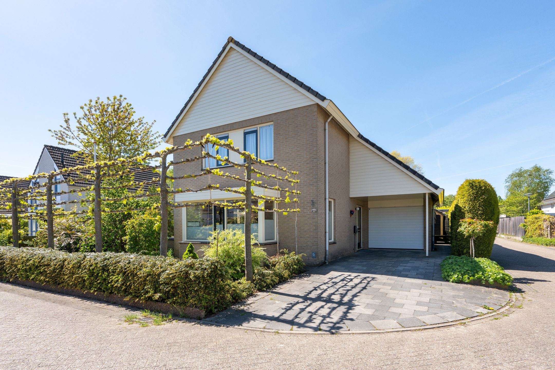 Foto van Rietgans 1, Emmen