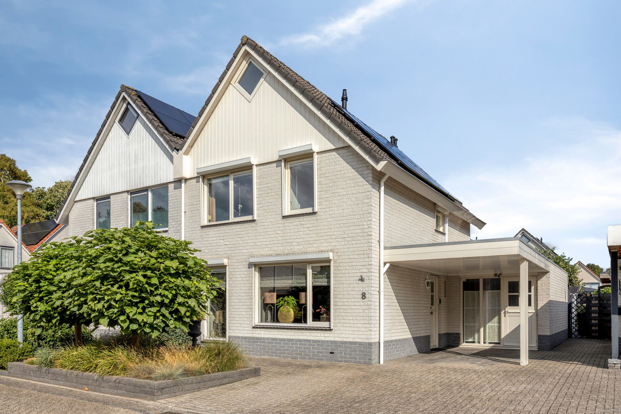 Foto van Grauwe Gans 8, Emmen
