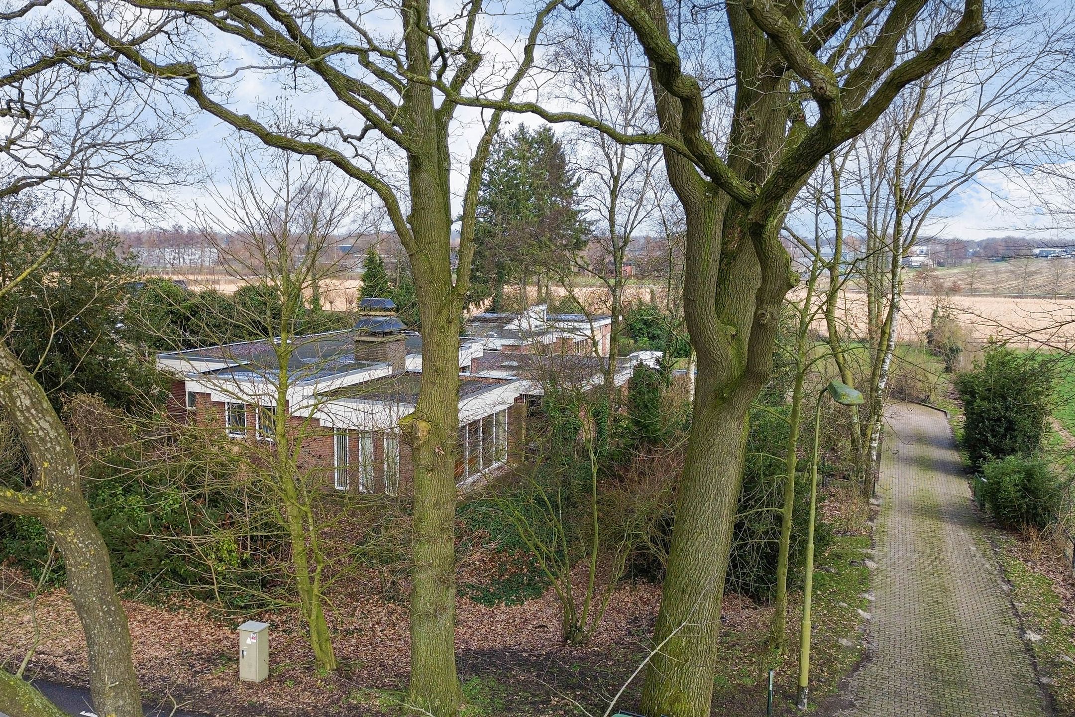 Foto van Bladderswijk OZ 141, Nieuw-Dordrecht