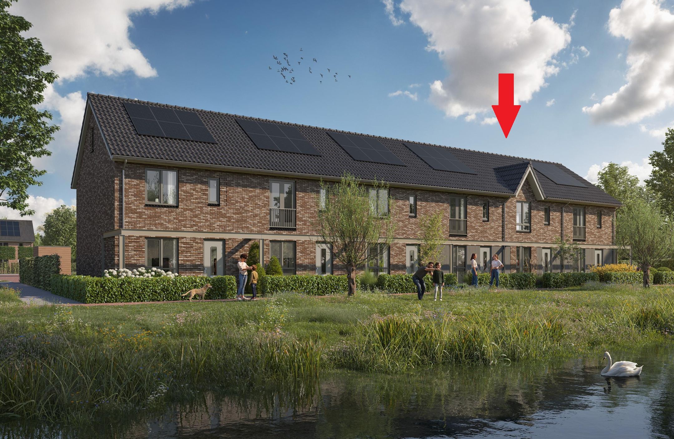 Foto van Witte klaver 2, Meppel