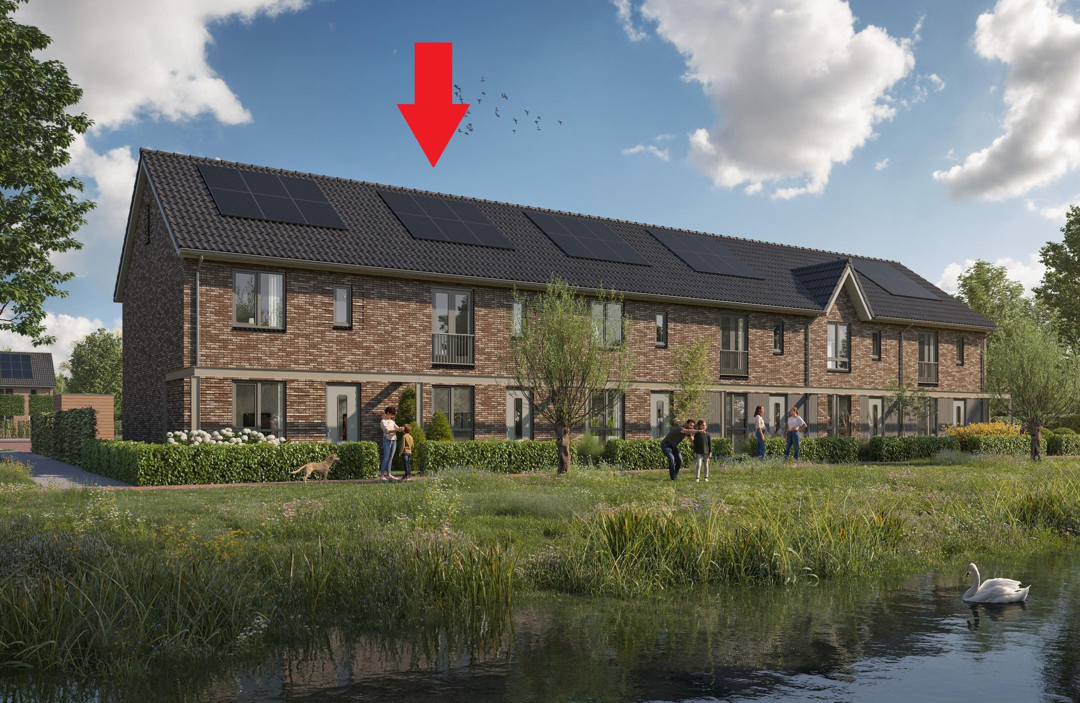 Foto van Witte klaver 5, Meppel