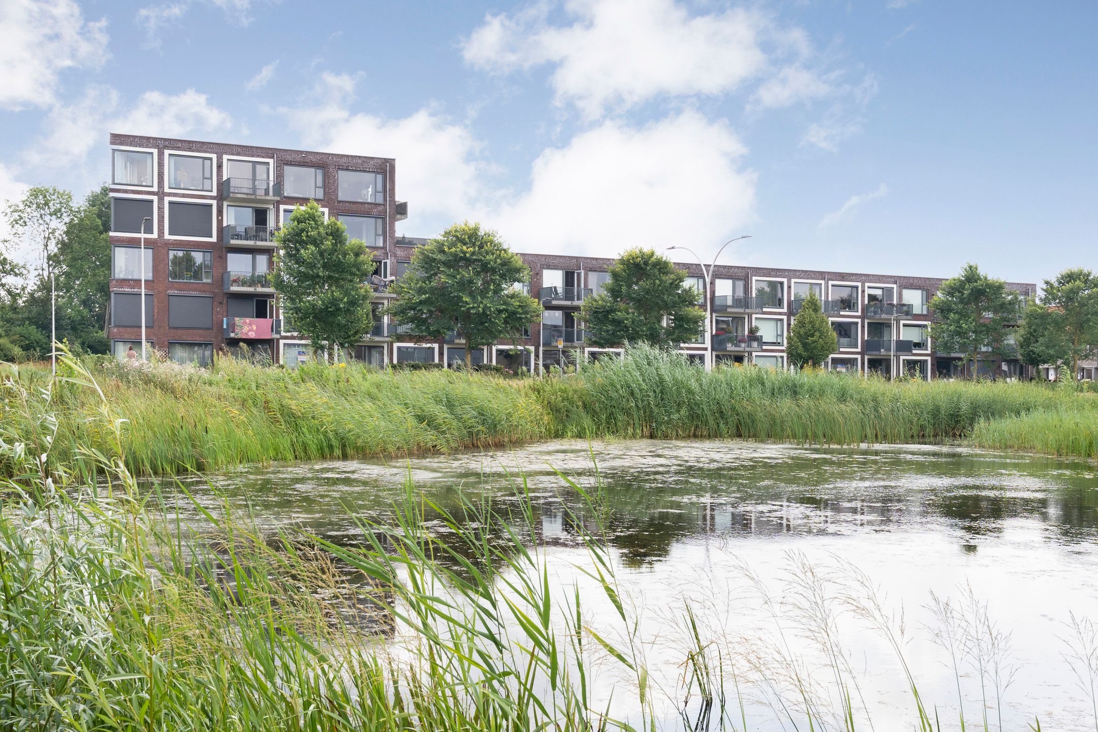 Foto van Litho 85, Meppel