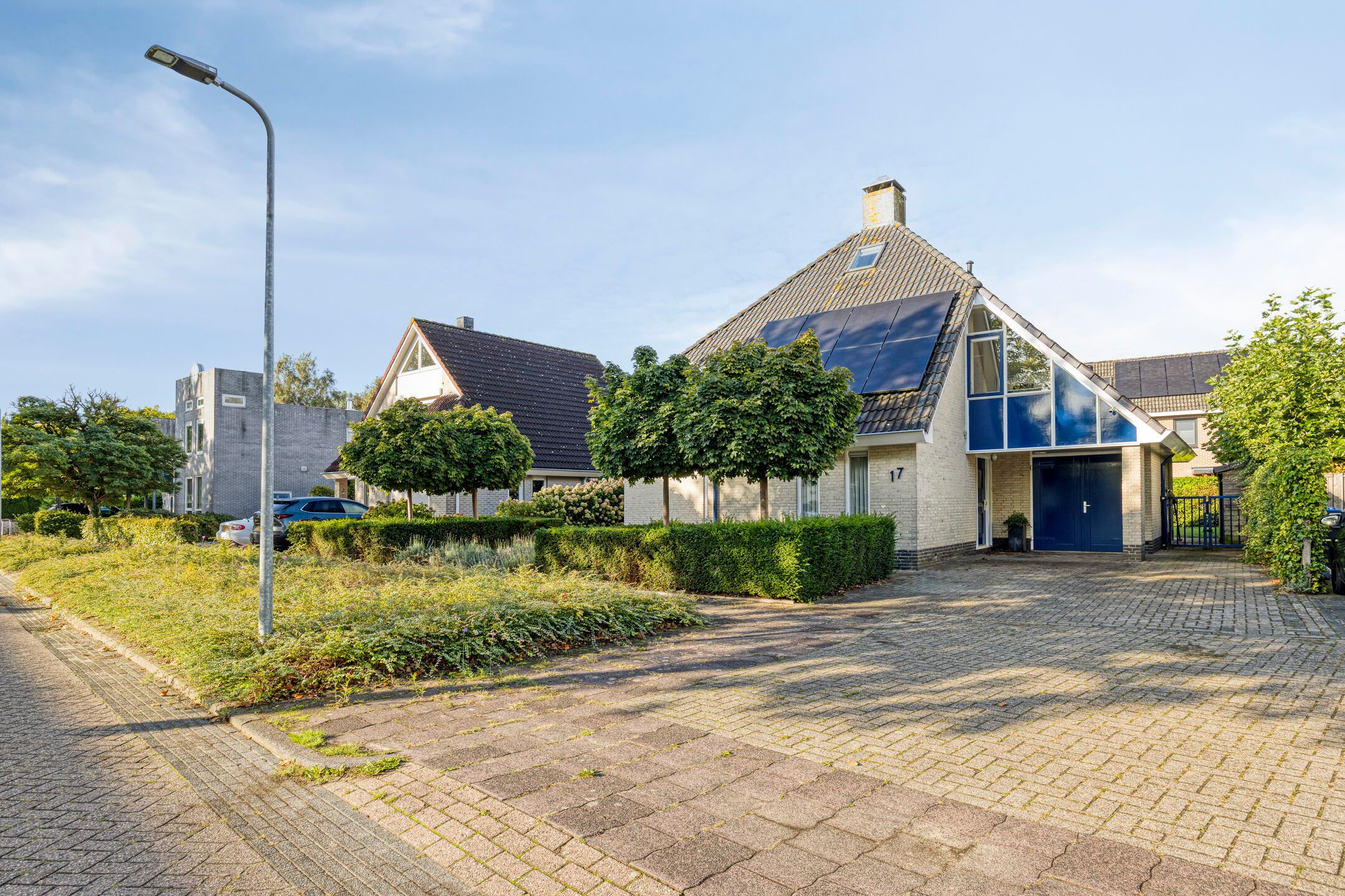 Foto van Citroenvlinder 17, Meppel