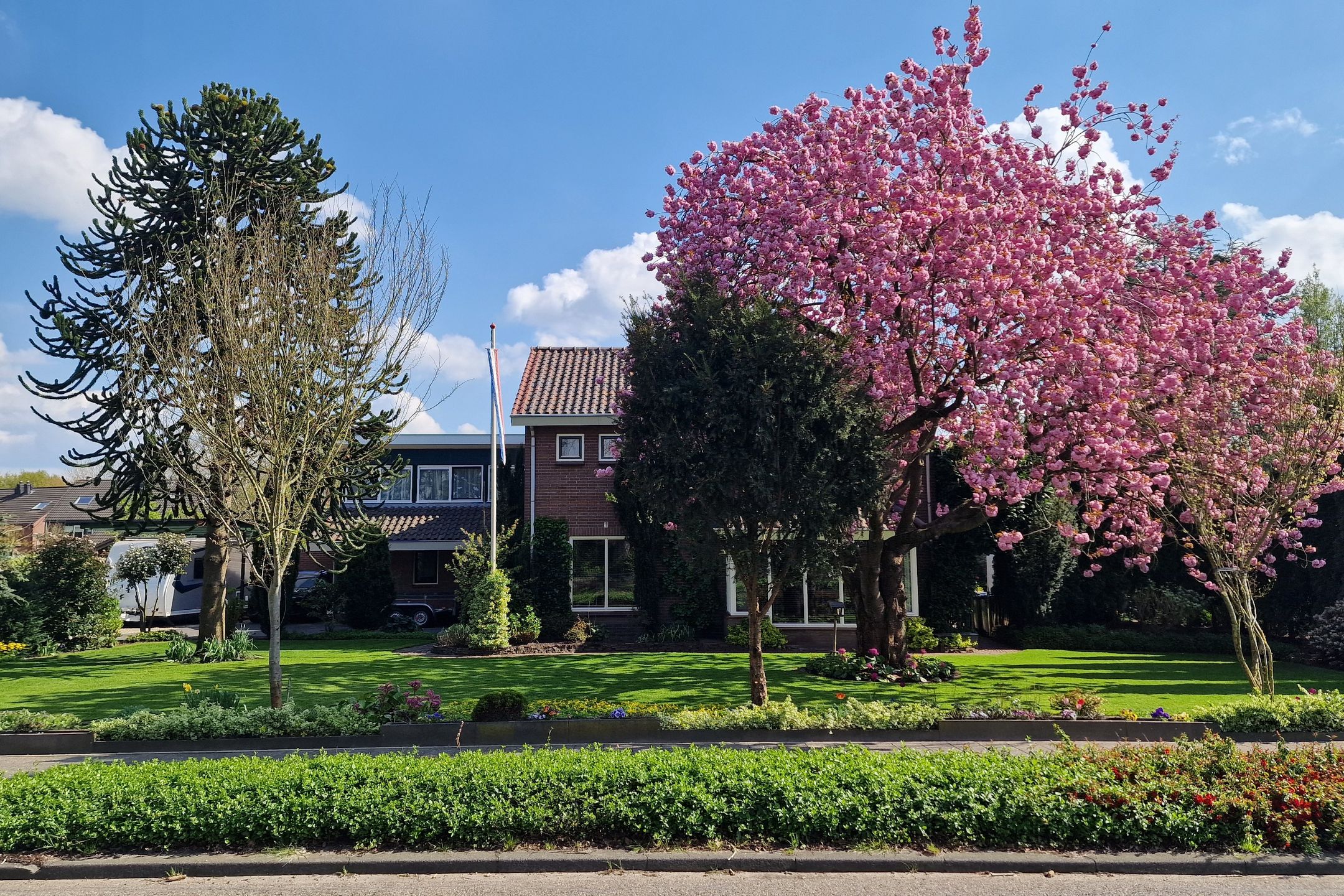 Foto van Westdorplaan 245, Raalte