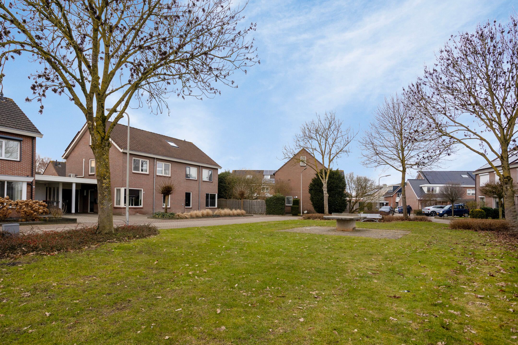 Foto van Koolmees 17, Raalte