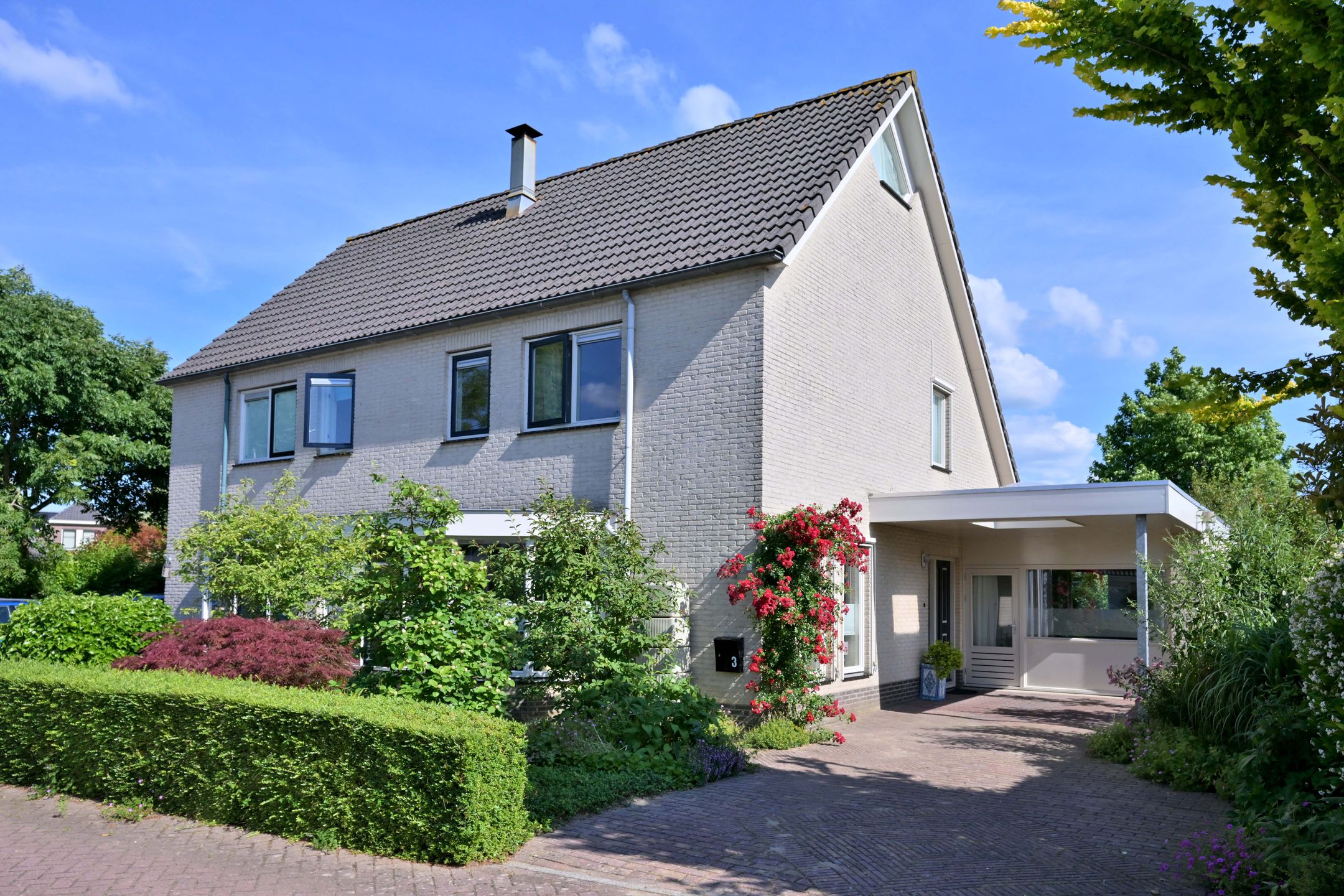 Foto van Holenduif 3, Olst