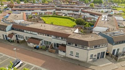 Foto van Galjoen 2919, Lelystad