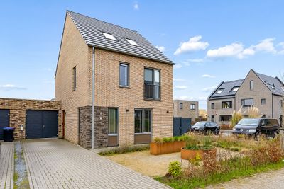 Foto van Zwenkgras 2, Lelystad