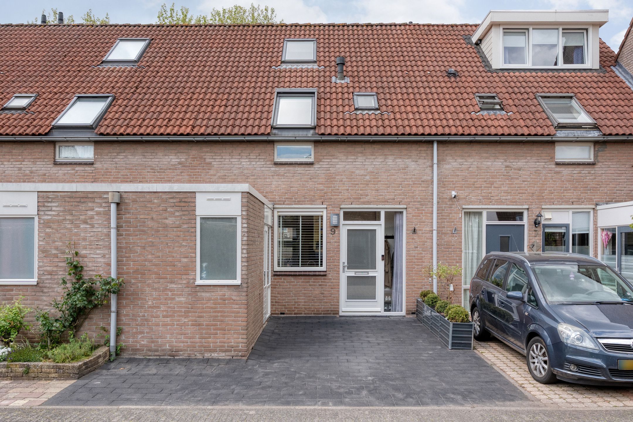 Foto van Veenmos 9, Kampen