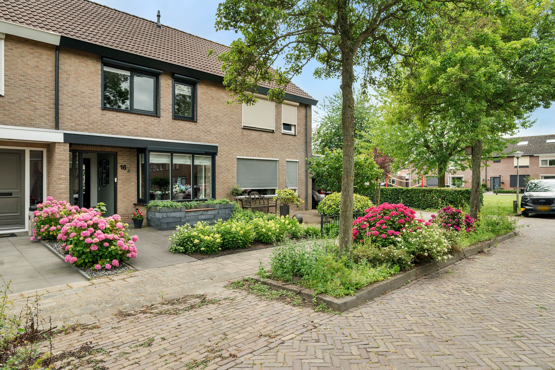 Foto van Pastinaak 16, Genemuiden