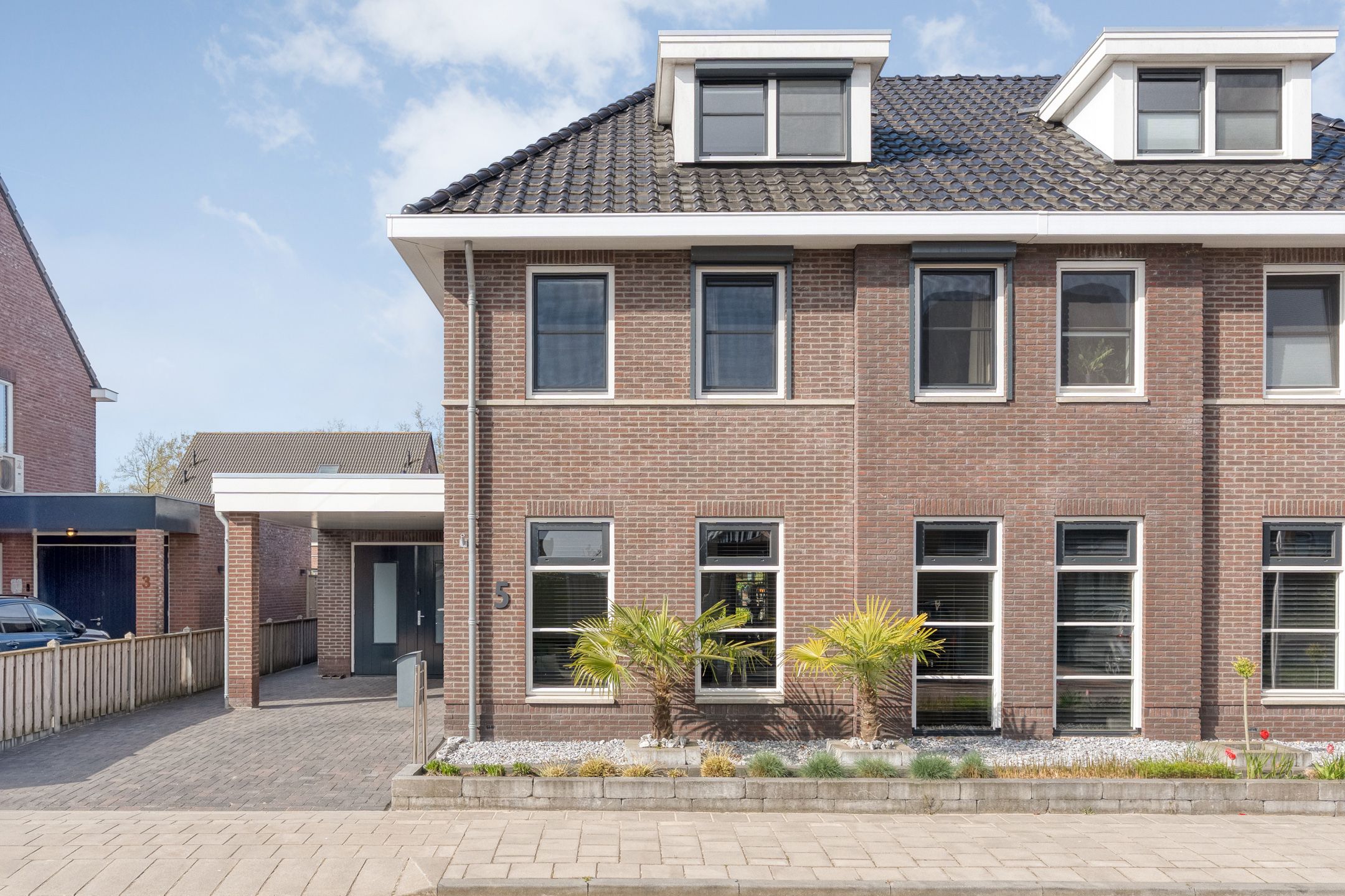 Foto van Petunia 5, Ens