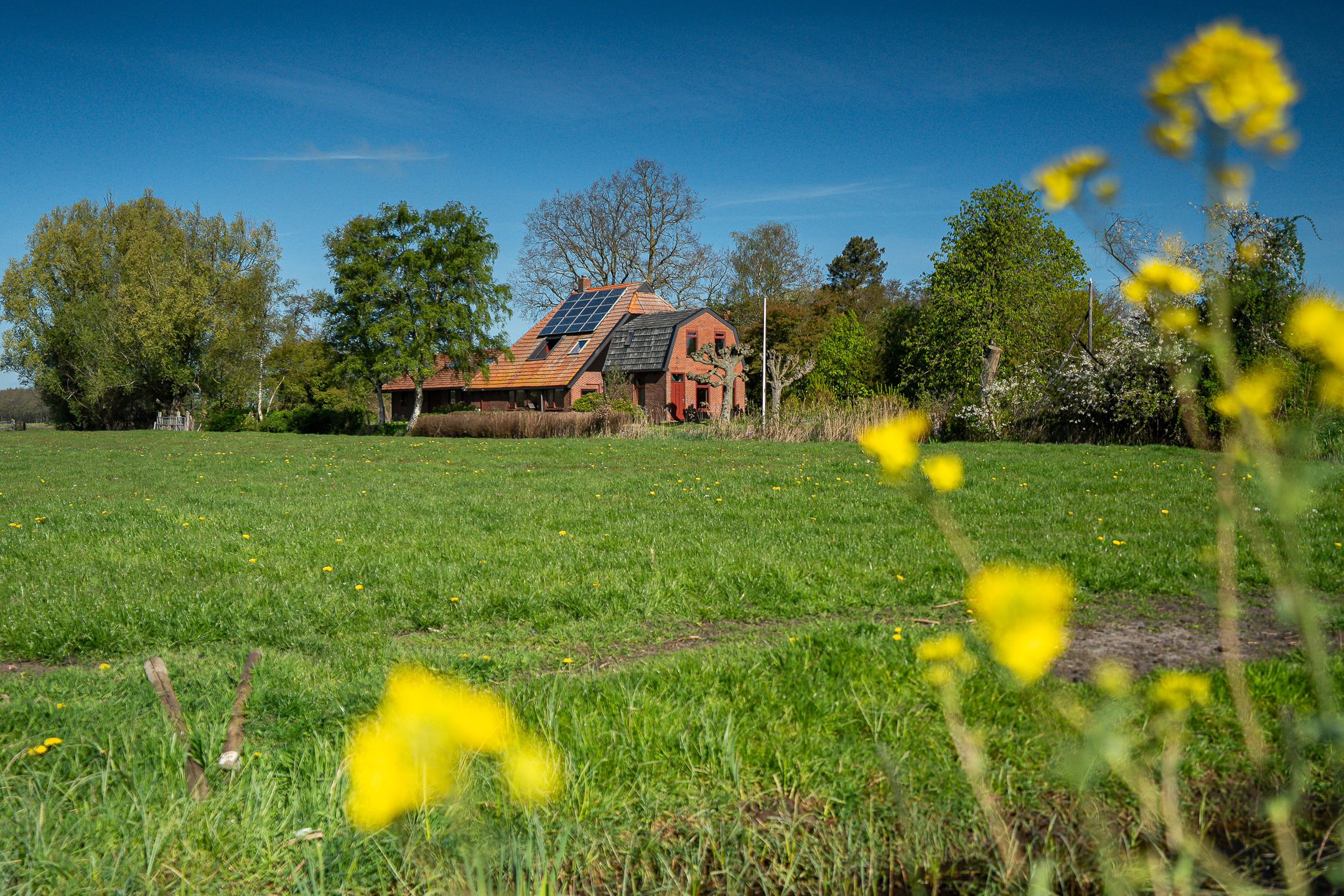 Foto van Riperwâlden 3, Tijnje
