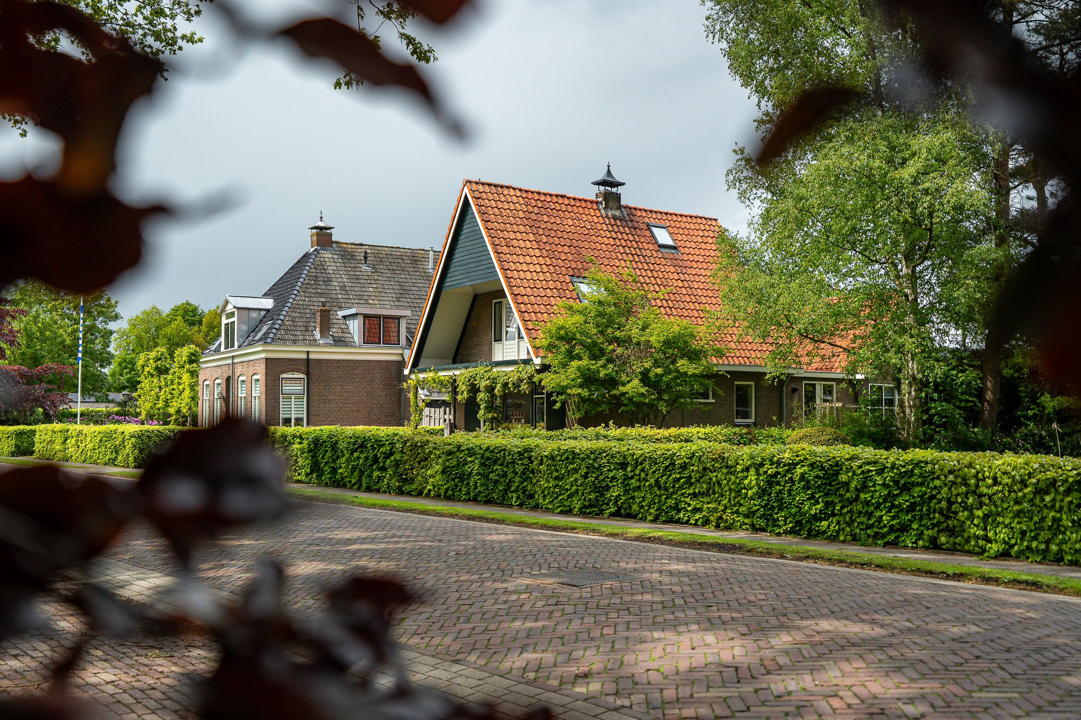 Foto van De Streek 35, Terwispel