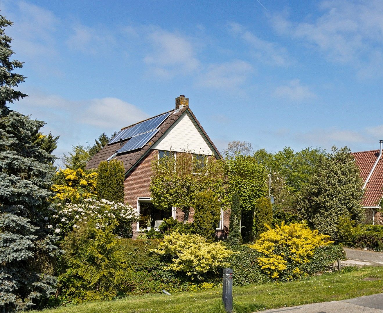 Foto van Vogelrijd 5, Fochteloo