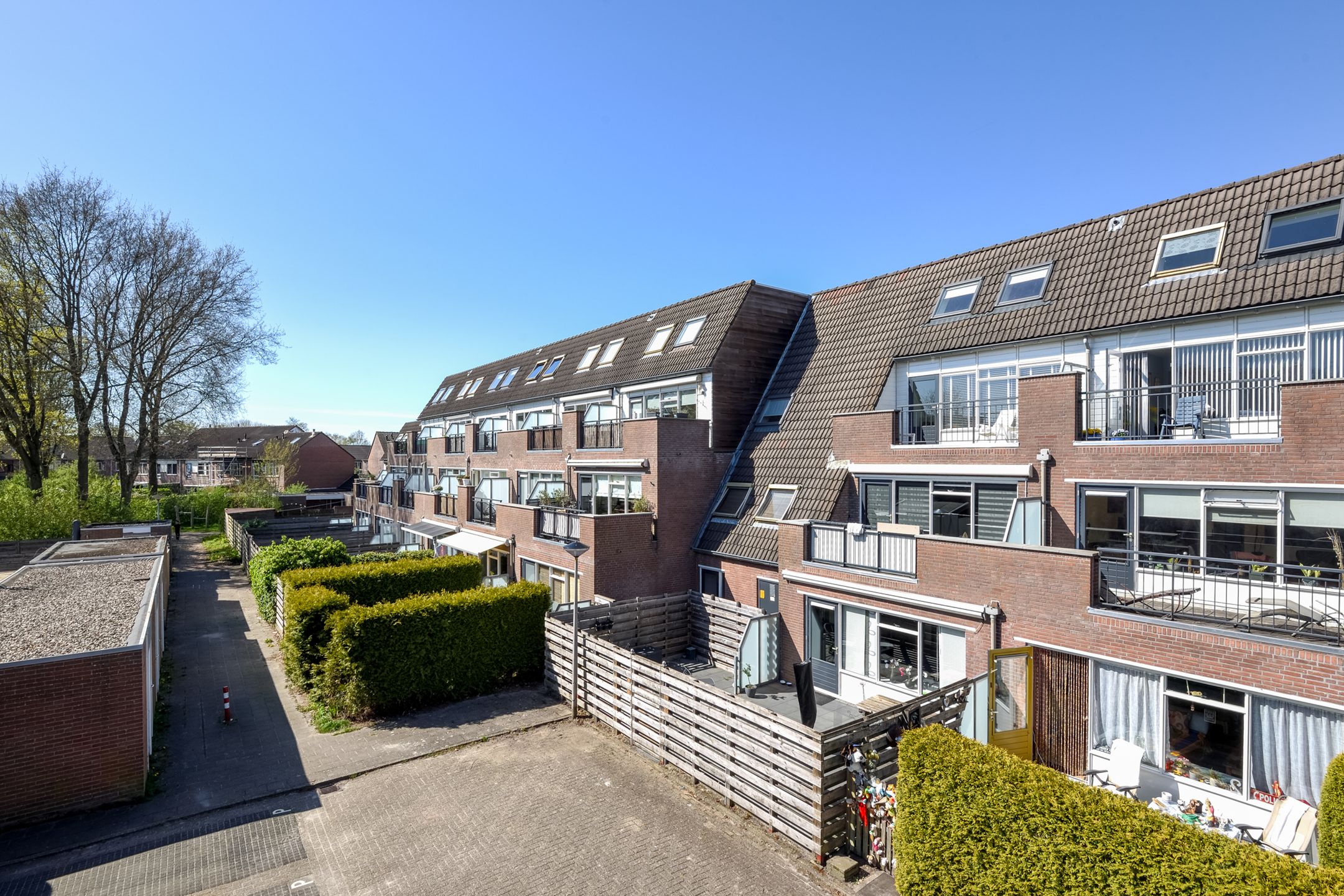 Foto van Populier 3, Heerenveen