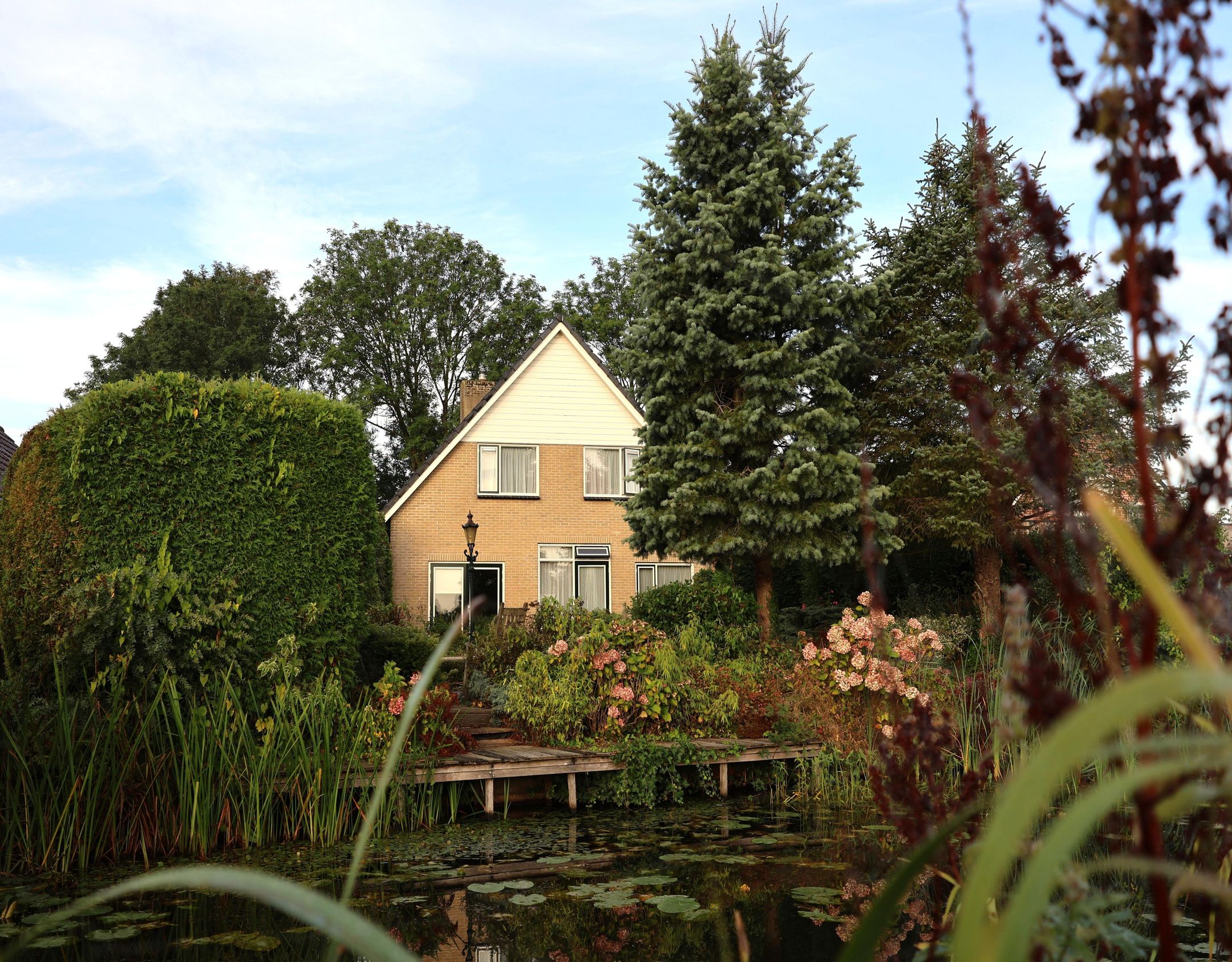 Foto van De Terp 1A, Scharnegoutum