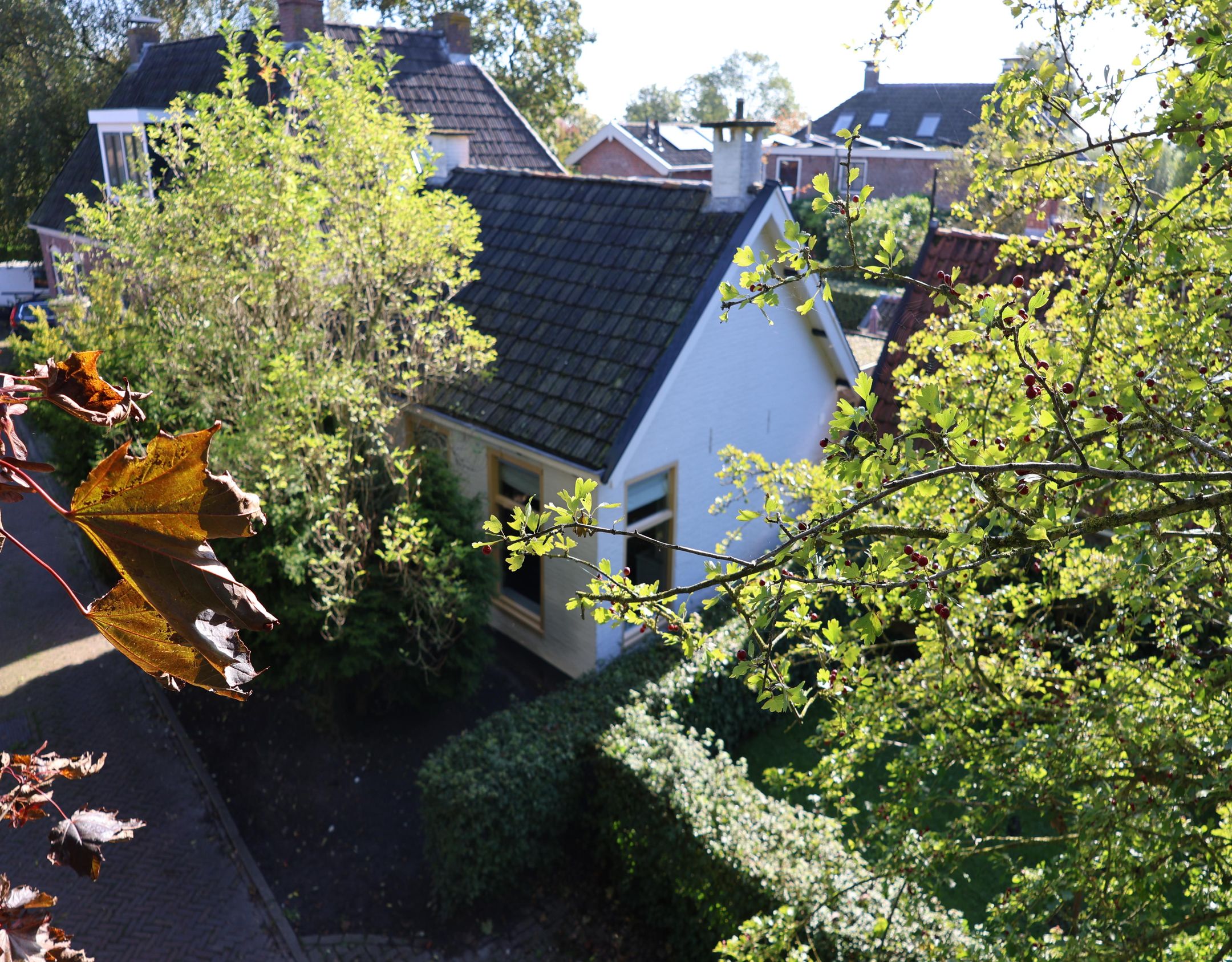 Foto van Havenpaed 9, Sibrandabuorren