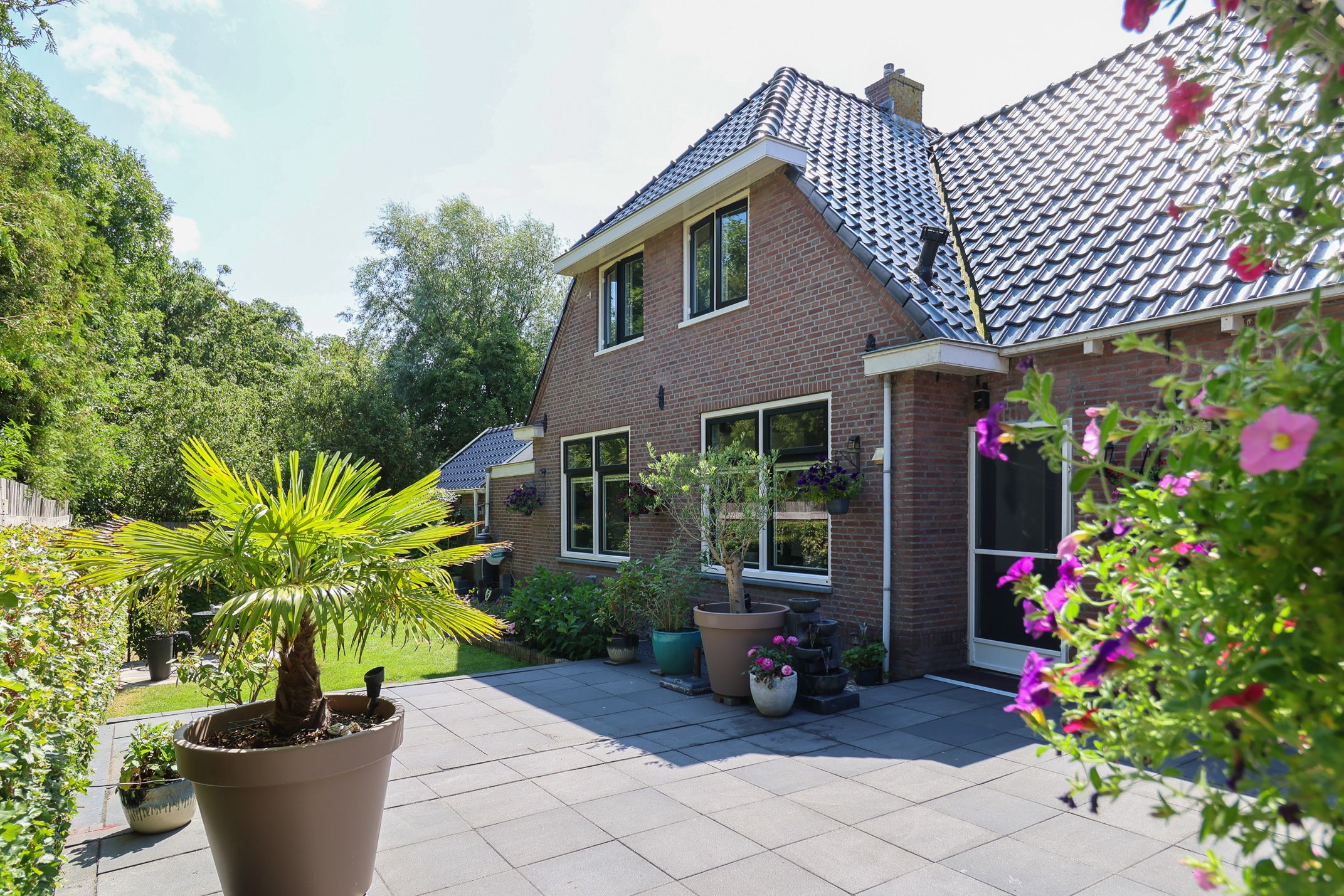Foto van Oude Schoolpad 3, Wons