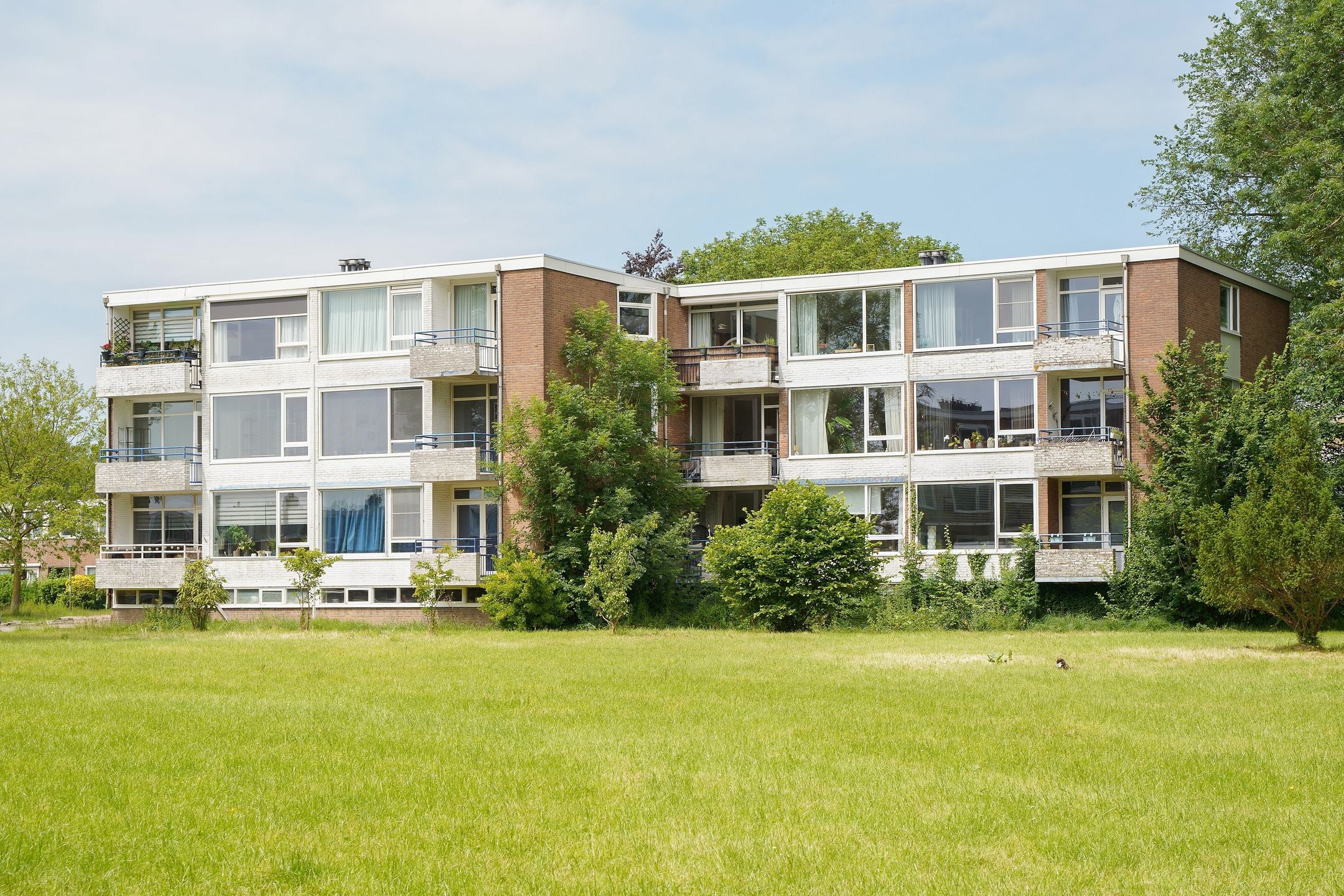 Foto van Zeesterstraat 7b, Leeuwarden