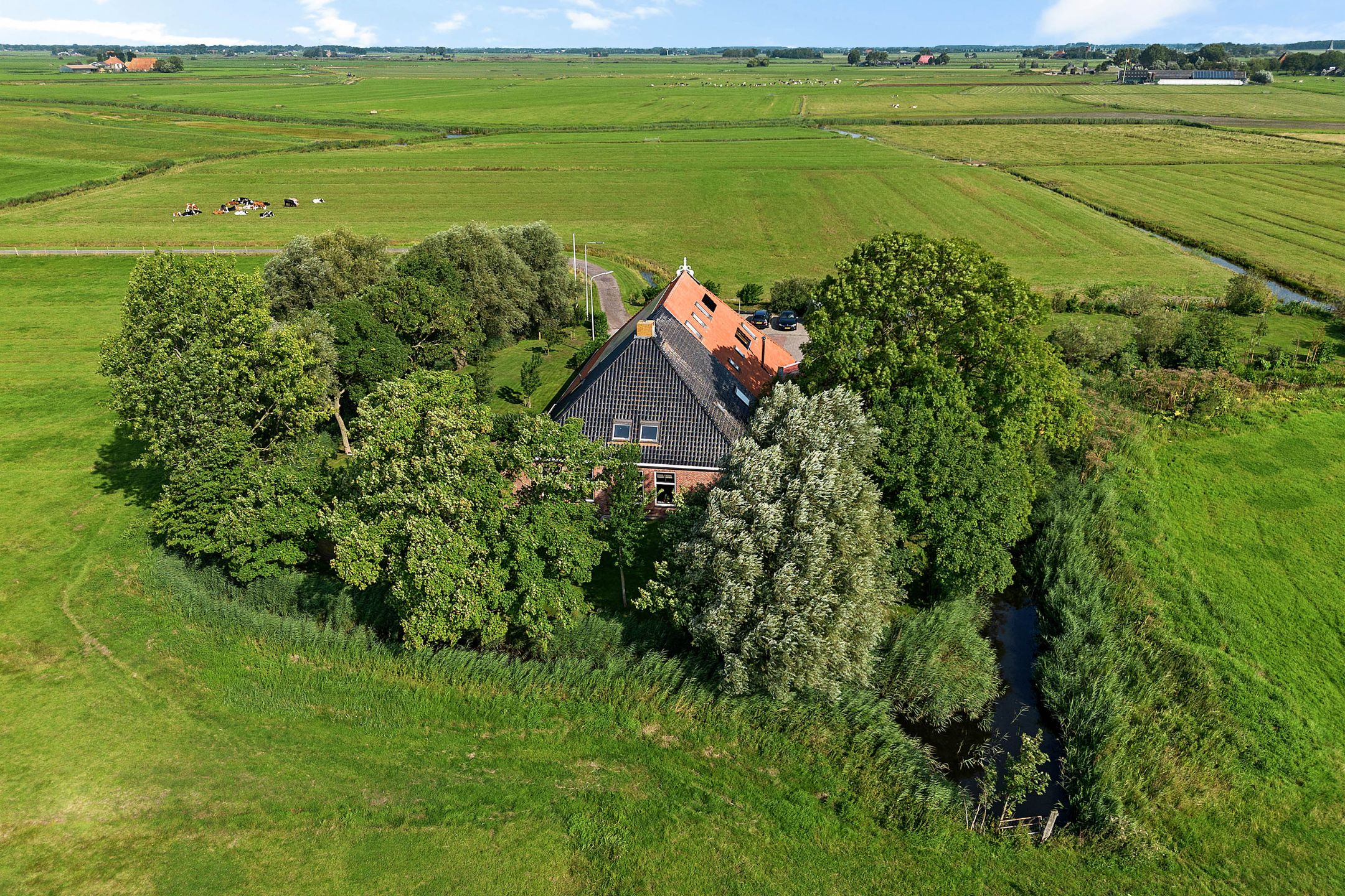 Foto van Hilaerdermieden 1, Hilaard