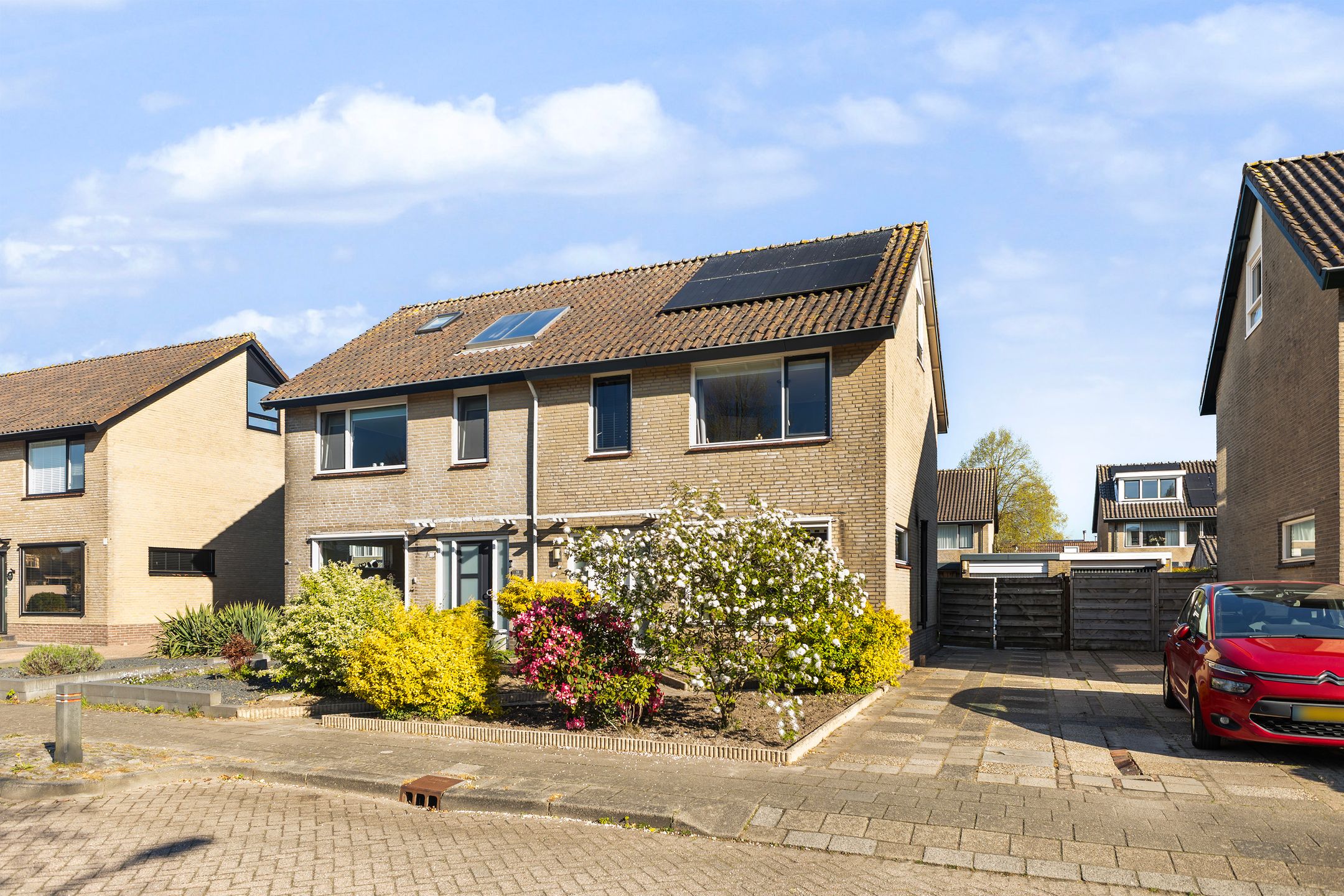 Foto van Roggeblom 10, Damwâld