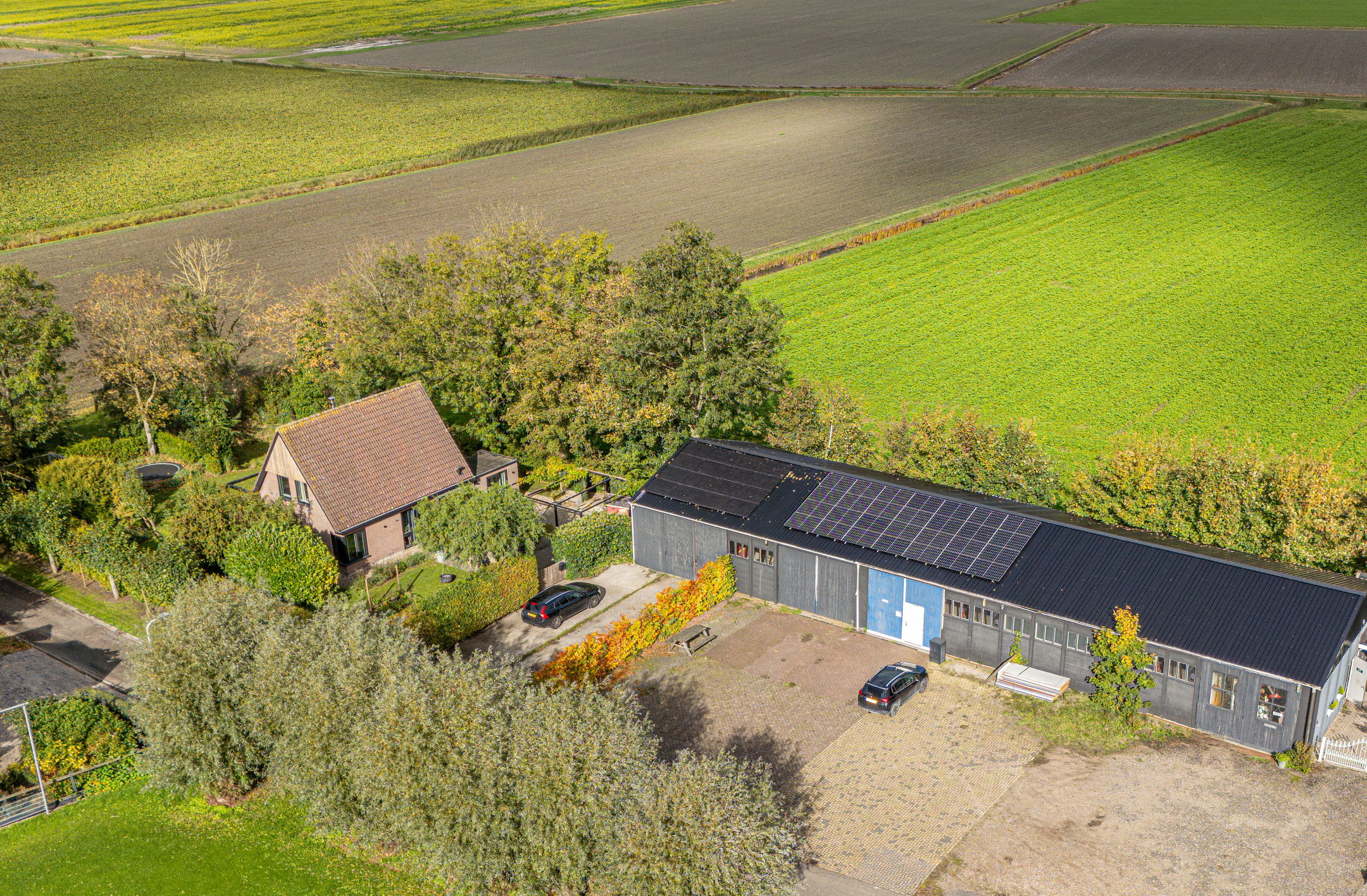 Foto van Ringwei 2, Brantgum
