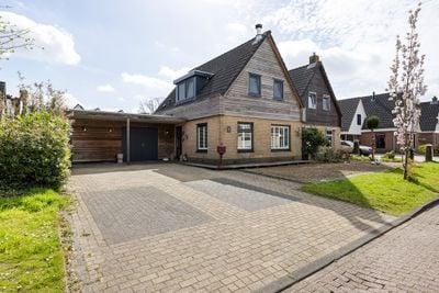 Foto van Lytse Leane 41, Frieschepalen